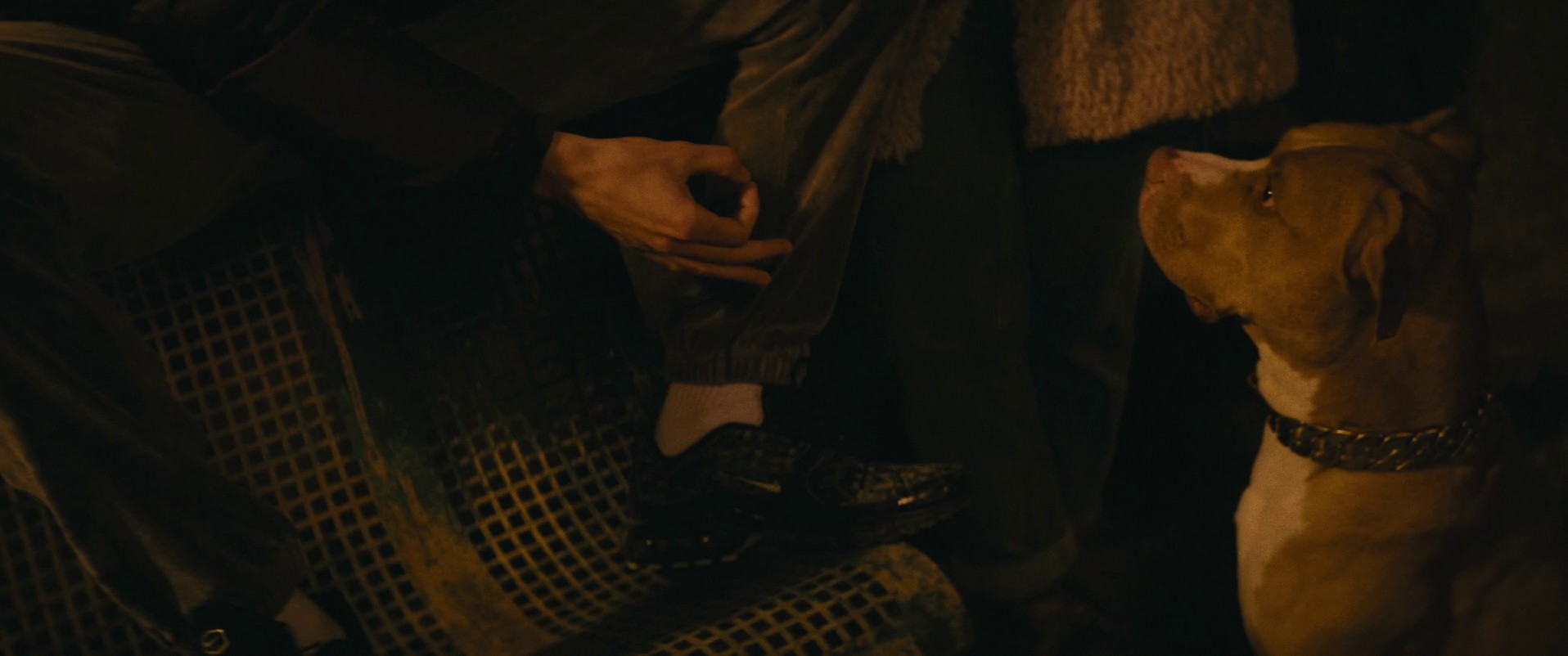 Junkyard Dog (2023) —  shot,  lighting