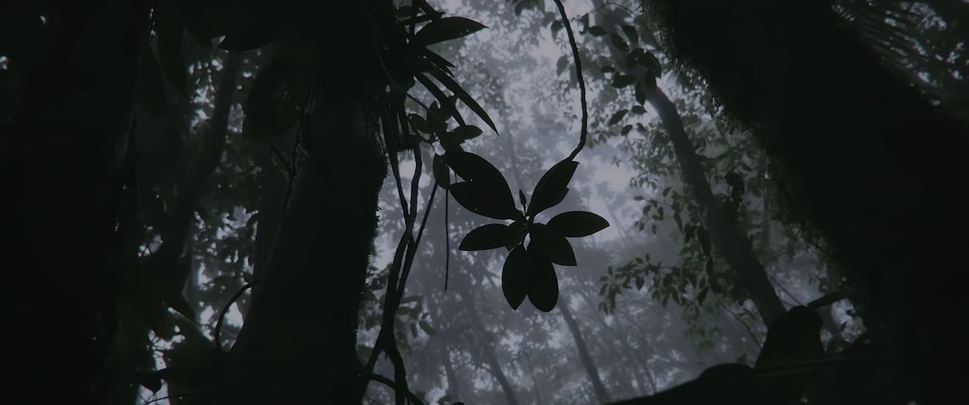 This is not the end  (2022) —  shot,  lighting