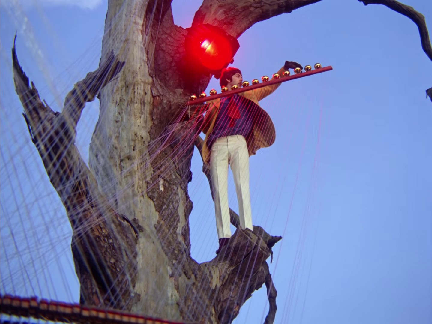 Strawberry Fields Forever (1967) —  shot,  lighting