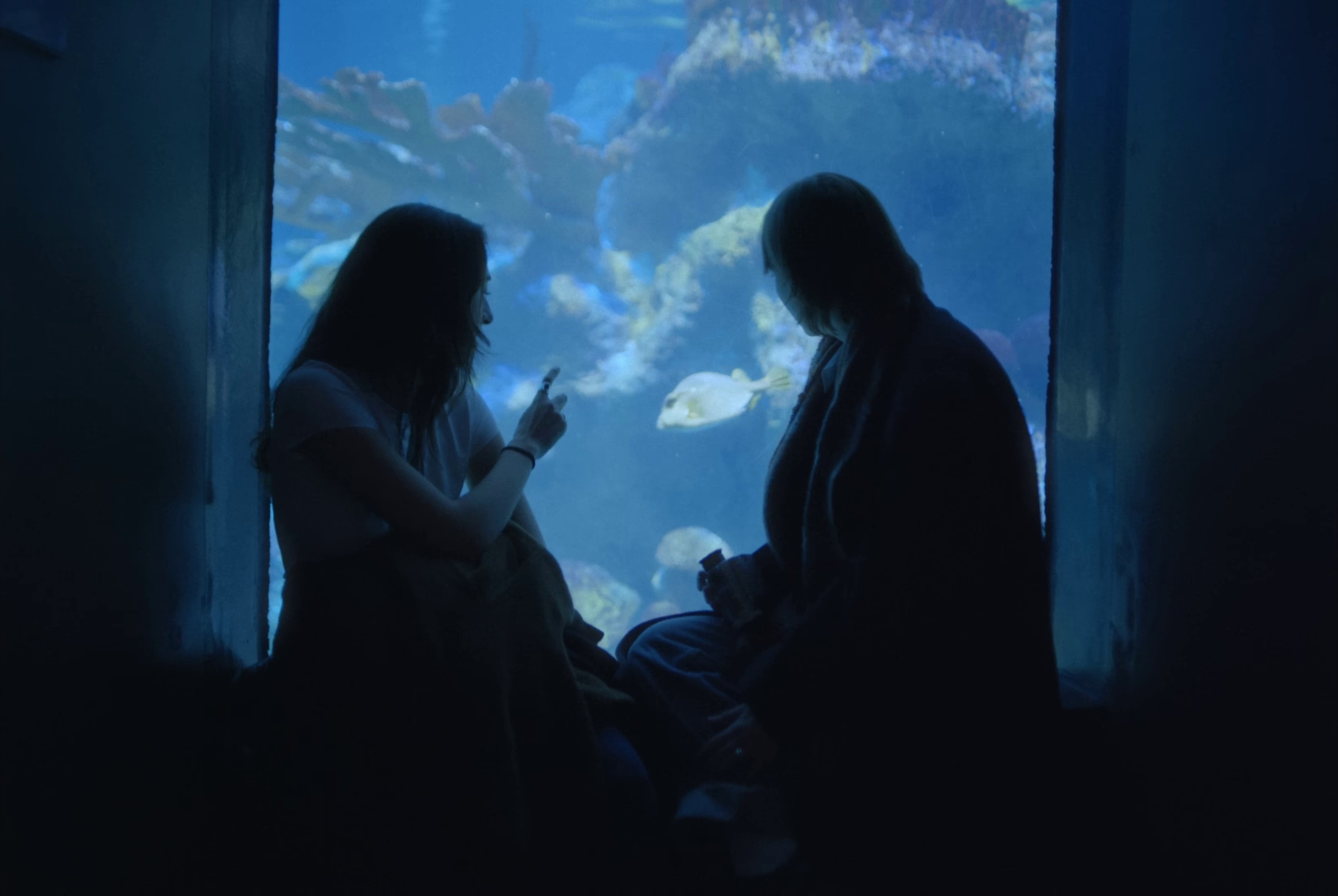 Wishes (2024) —  shot,  lighting