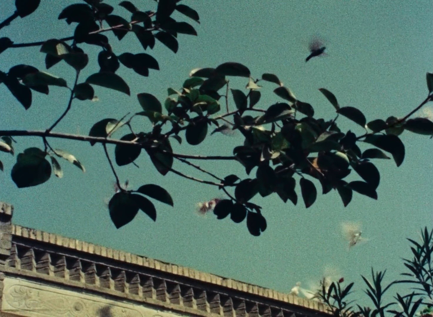 How to Make Use of Leisure Time (1977) —  shot,  lighting