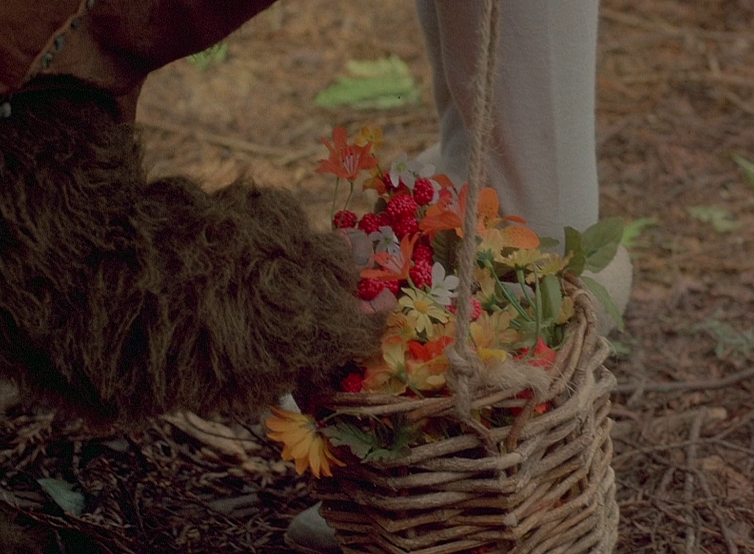 Ewoks: The Battle for Endor (1985) —  shot,  lighting