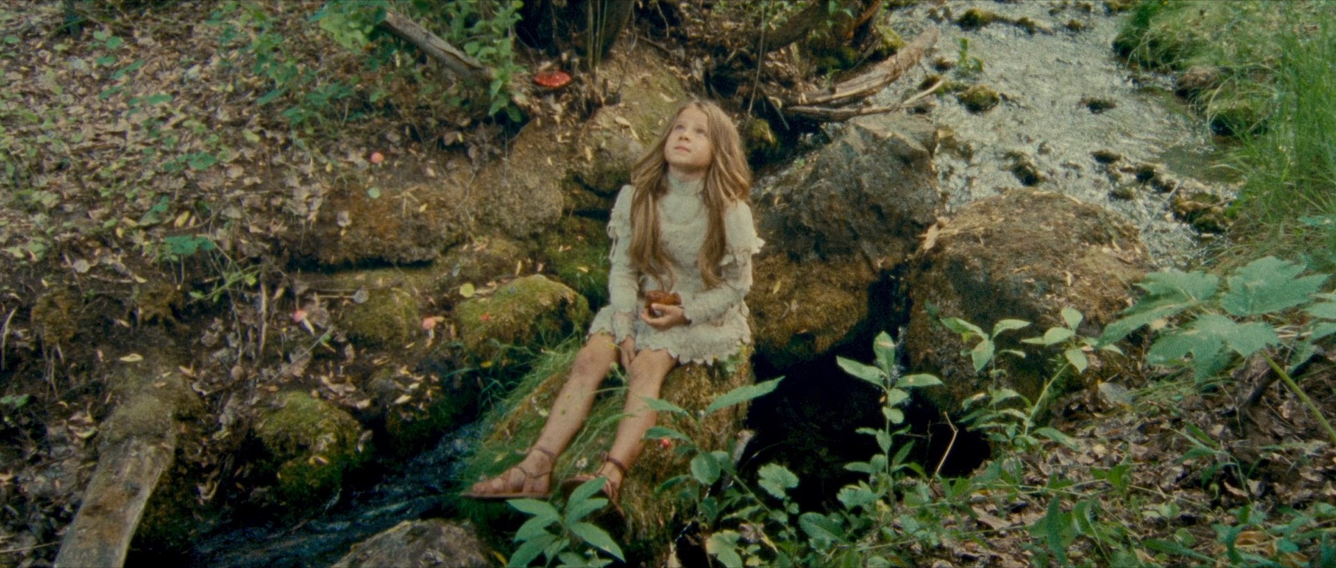 Riddle of Fire (2024) —  shot,  lighting