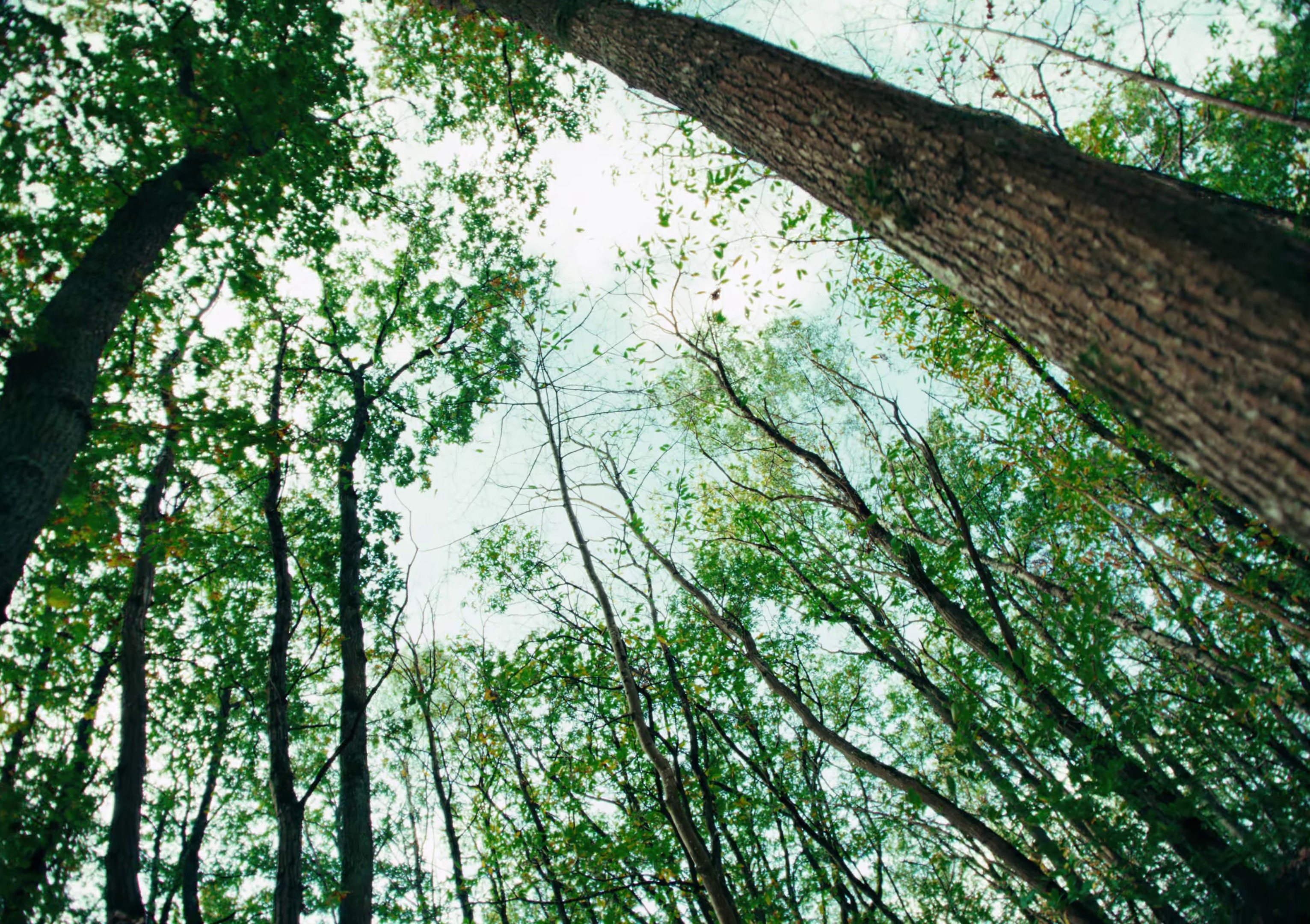 DIS-MOI (2023) —  shot,  lighting