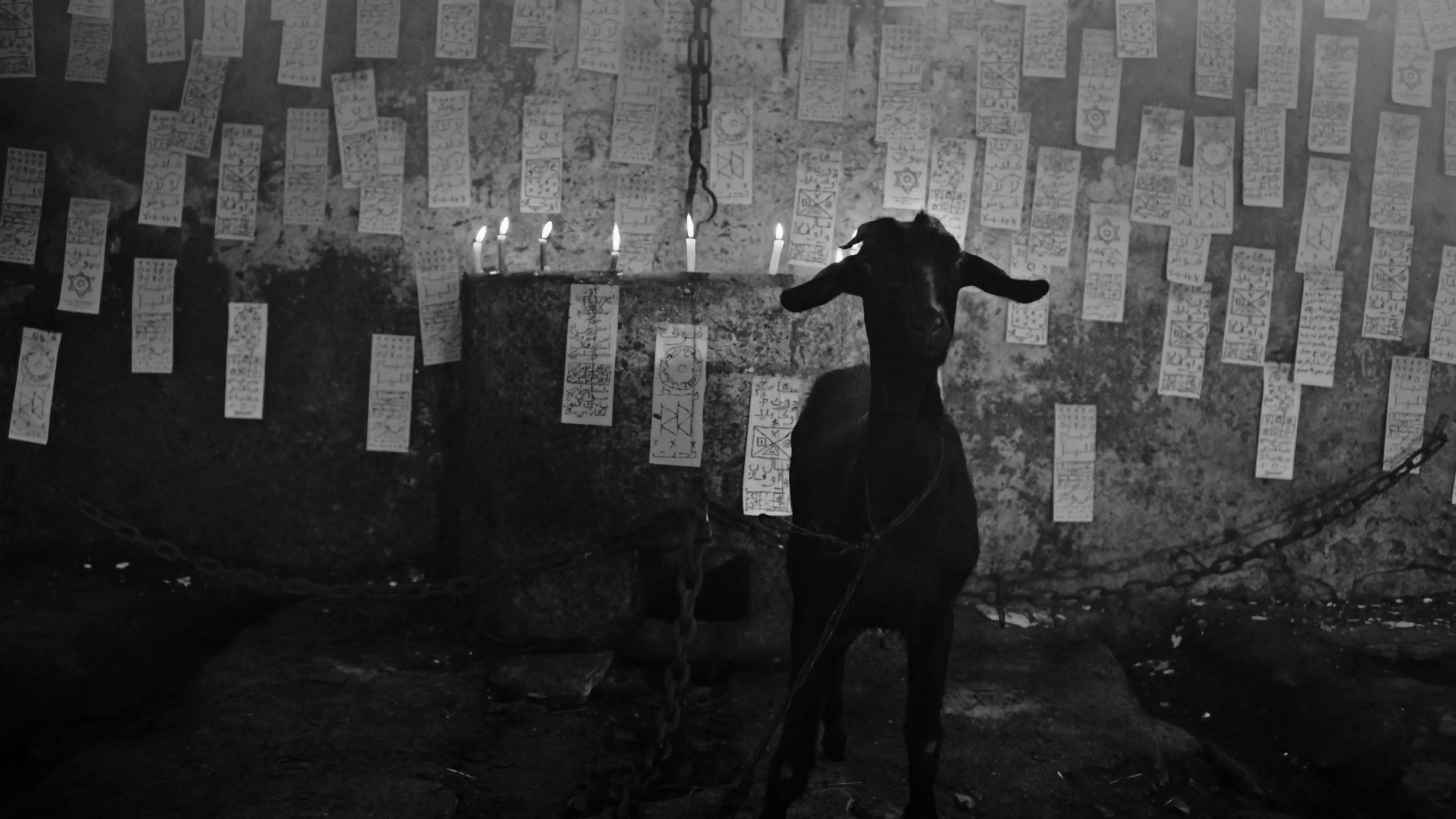 M9AWDA (2022) —  shot,  lighting