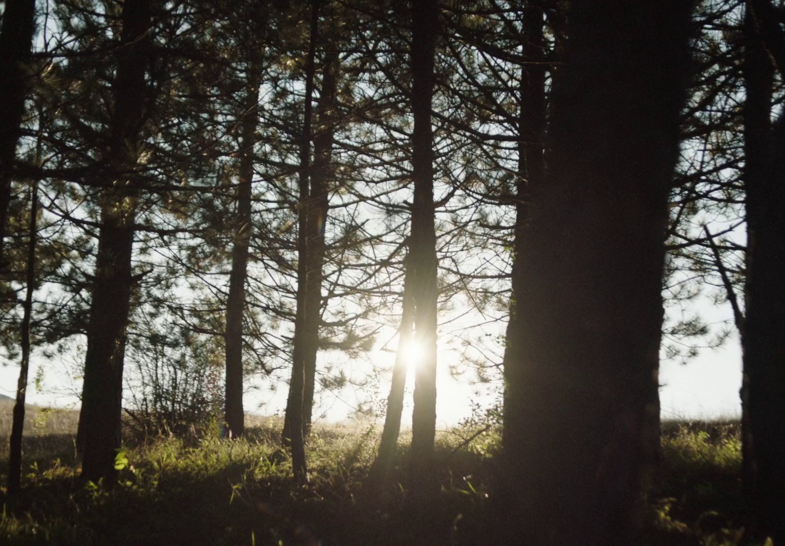 You Won't Be Alone (2022) —  shot,  lighting