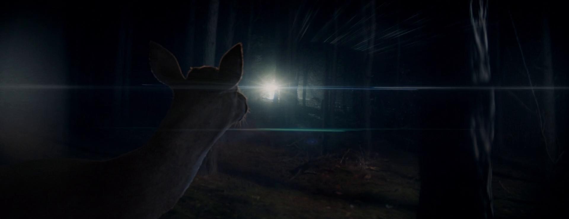 ŠKODA SAFETY | DIR CUT (2023) —  shot,  lighting