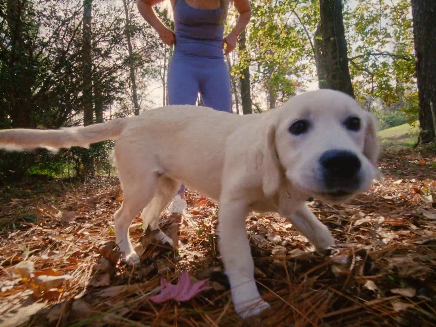 VUORI — FIND YOUR BLISS (2024) —  shot,  lighting