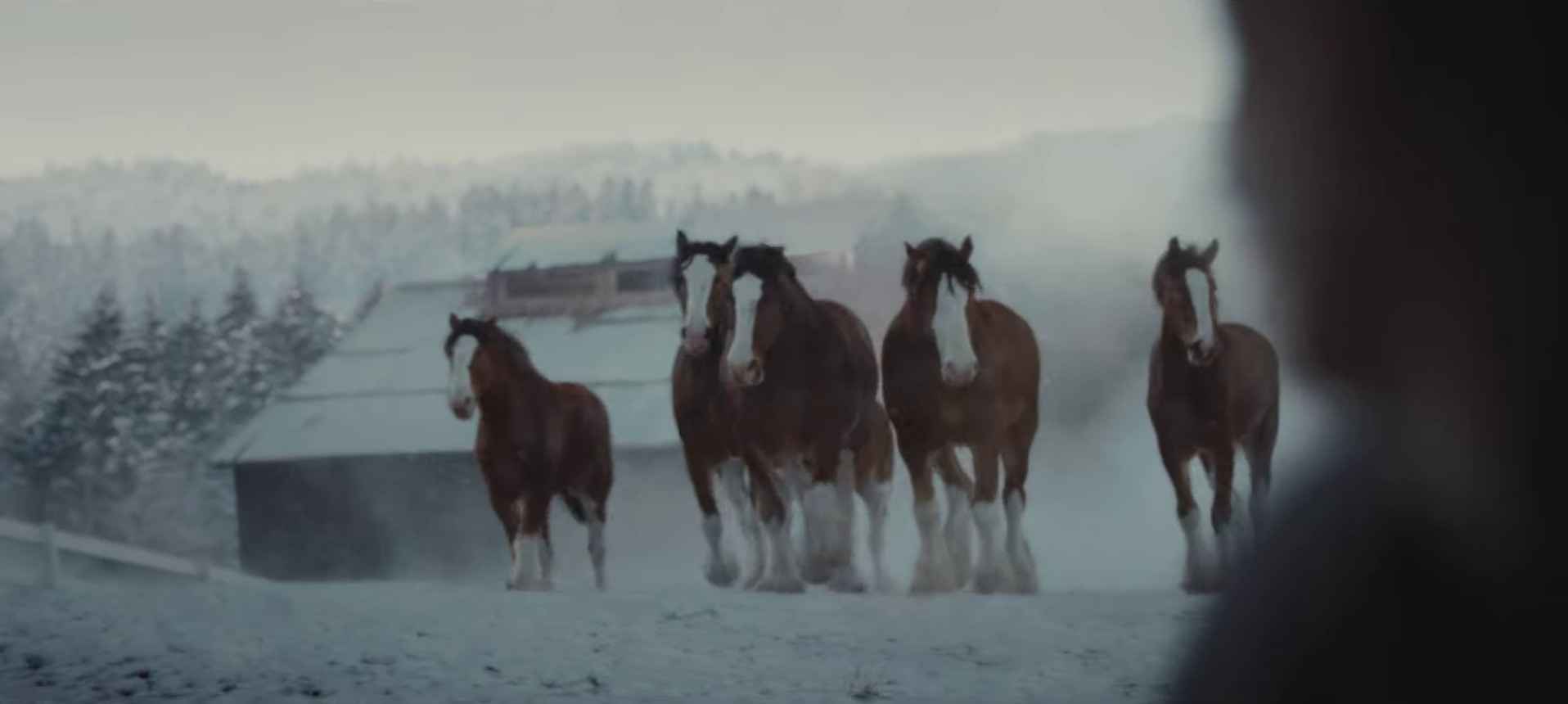 Budweiser | Super Bowl LVIII Old School Delivery (2023) —  shot,  lighting