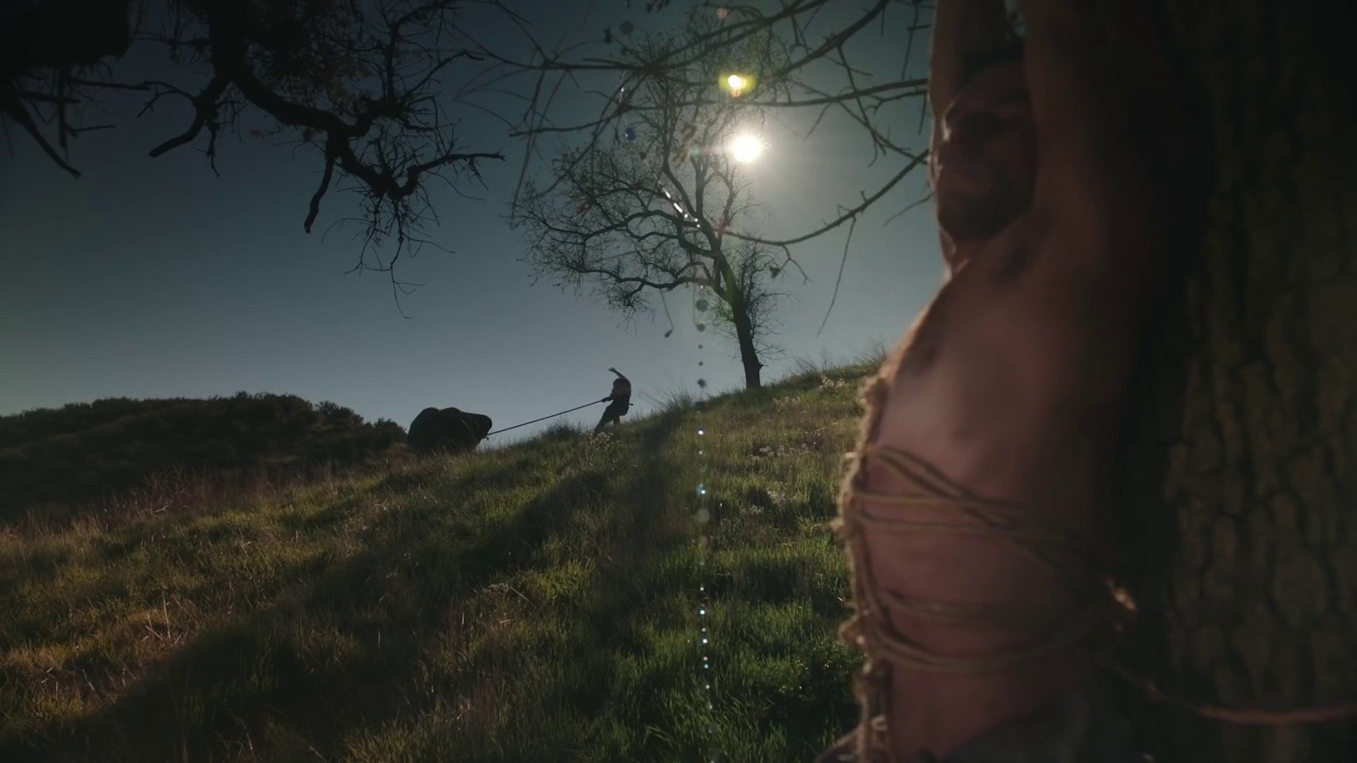 Describe (2020) —  shot,  lighting