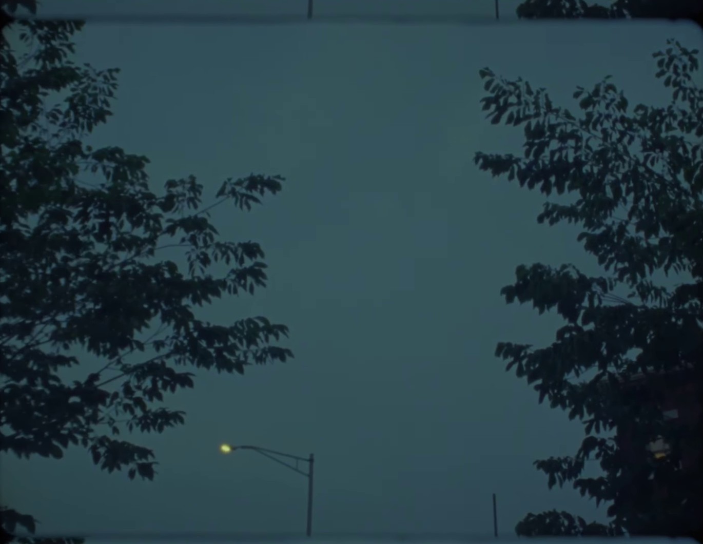 im still here. (2024) —  shot,  lighting