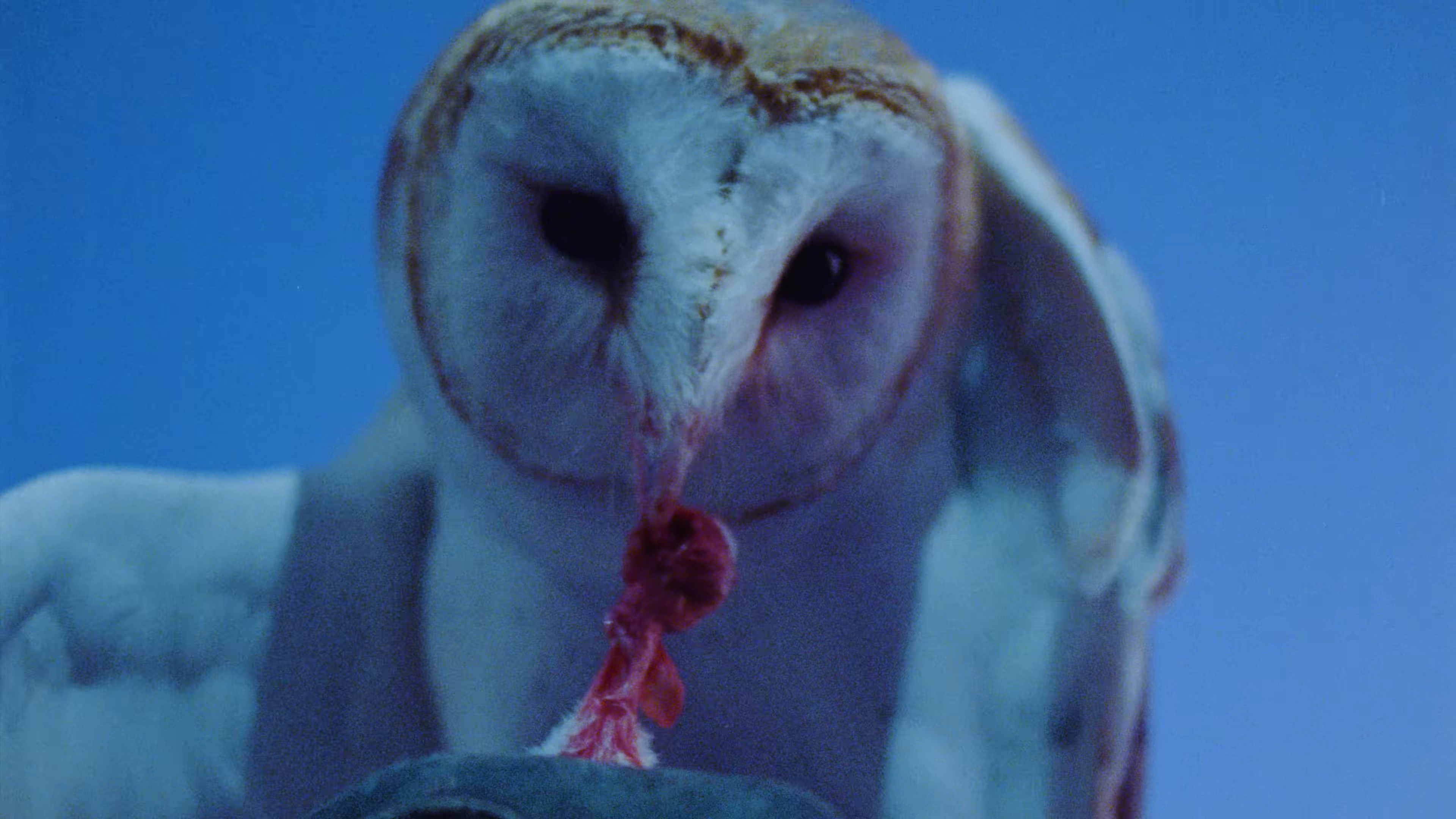 Remedy (2025) —  shot,  lighting