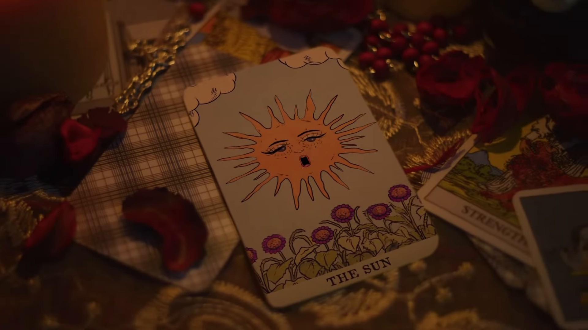 DROPPING SEEDS (2023) —  shot,  lighting