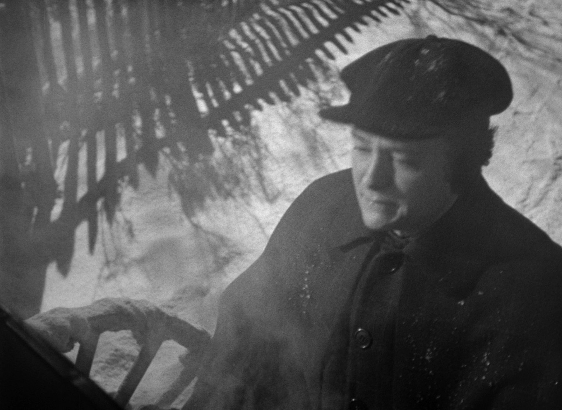 The Magnificent Ambersons (1942) —  shot,  lighting