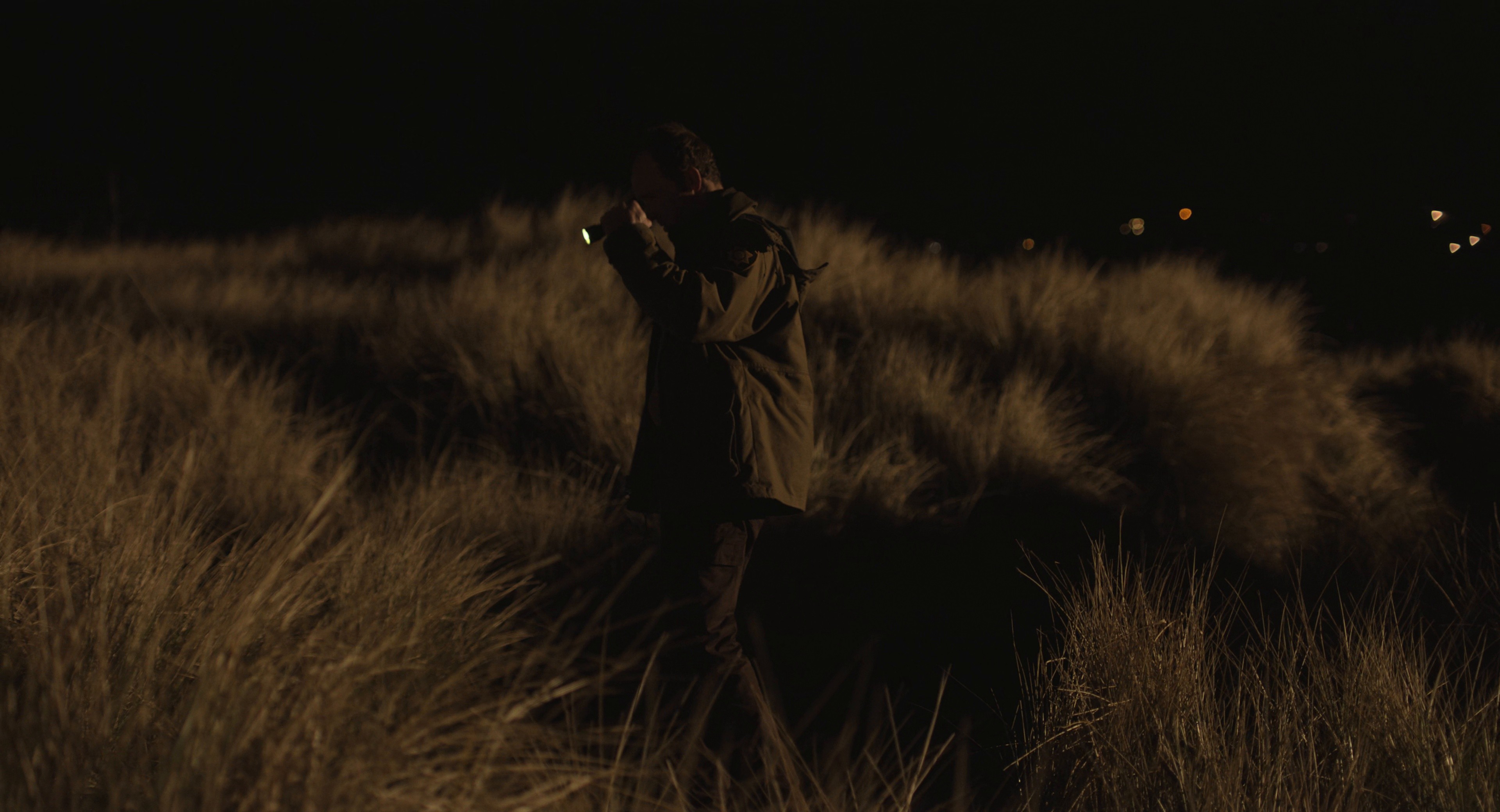 Alma and the Wolf (2025) —  shot,  lighting