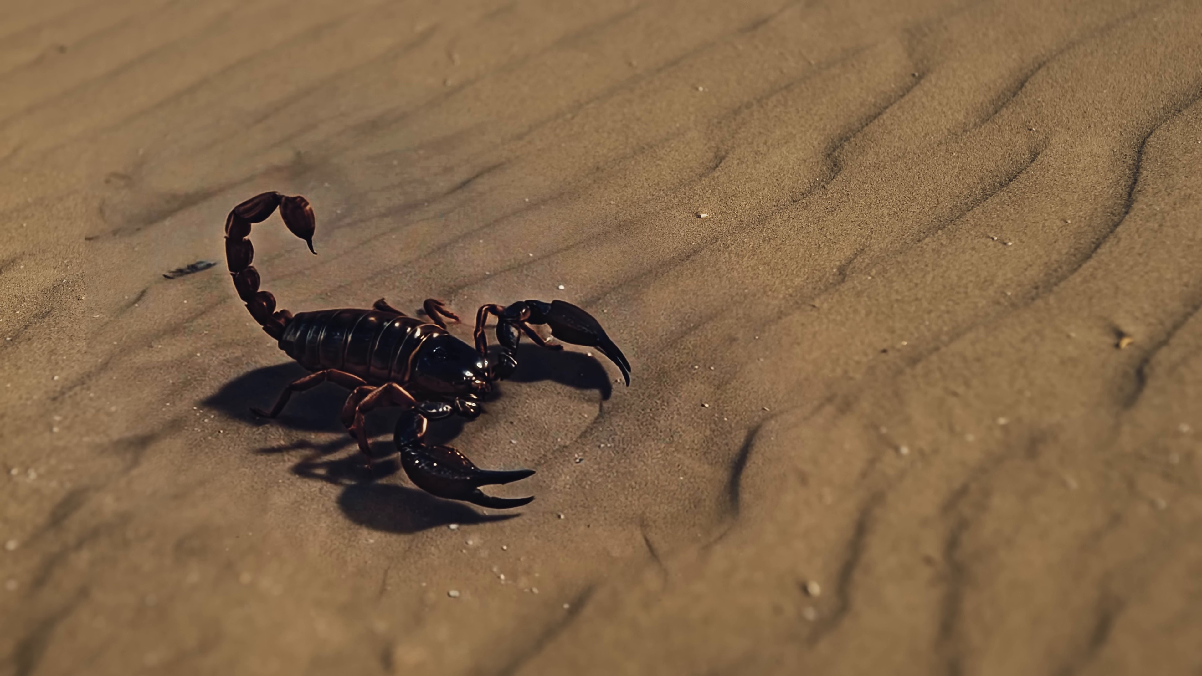 Uje (2025) —  shot,  lighting