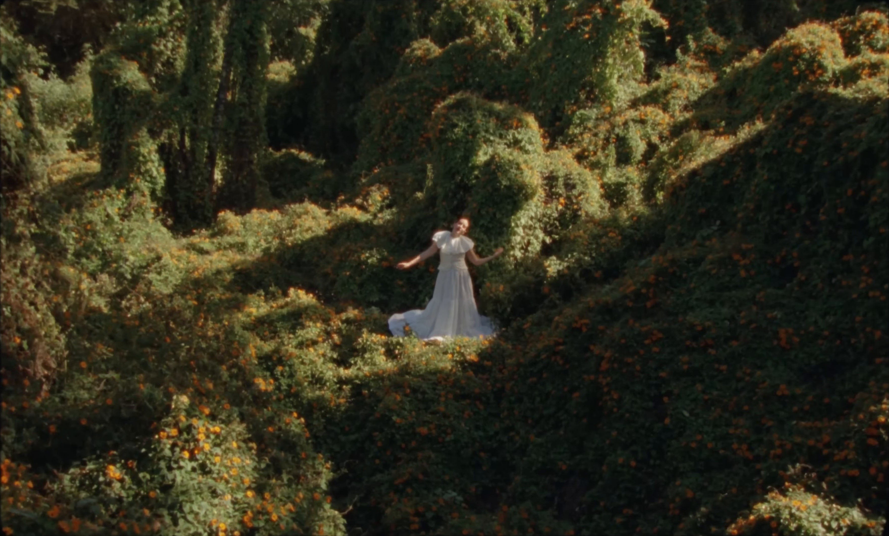 No Es Igual (2025) —  shot,  lighting