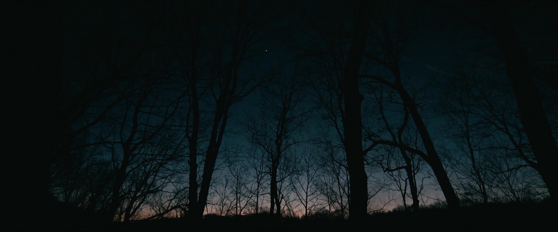 Rust Creek (2018) —  shot,  lighting