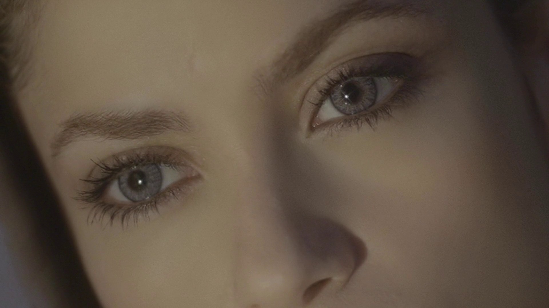 She Wolf  (2009) —  shot,  lighting