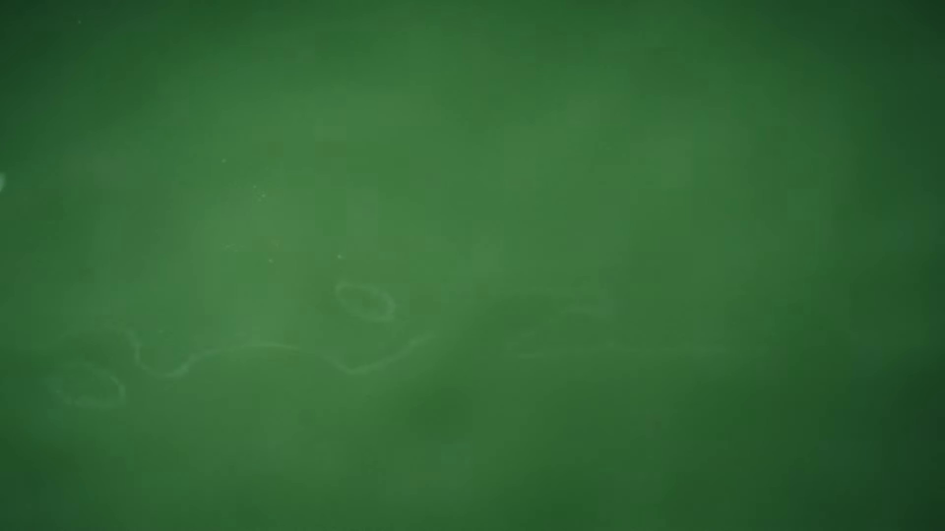 Matcha Queen (2024) —  shot,  lighting