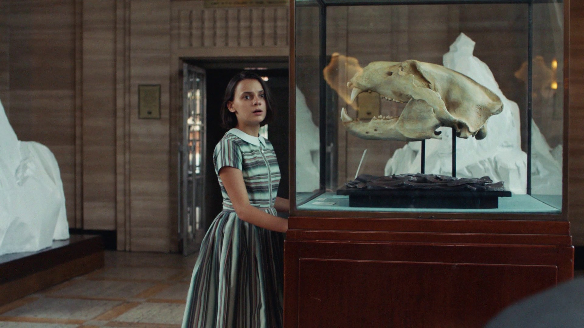 The Idea of North (2019) —  shot,  lighting