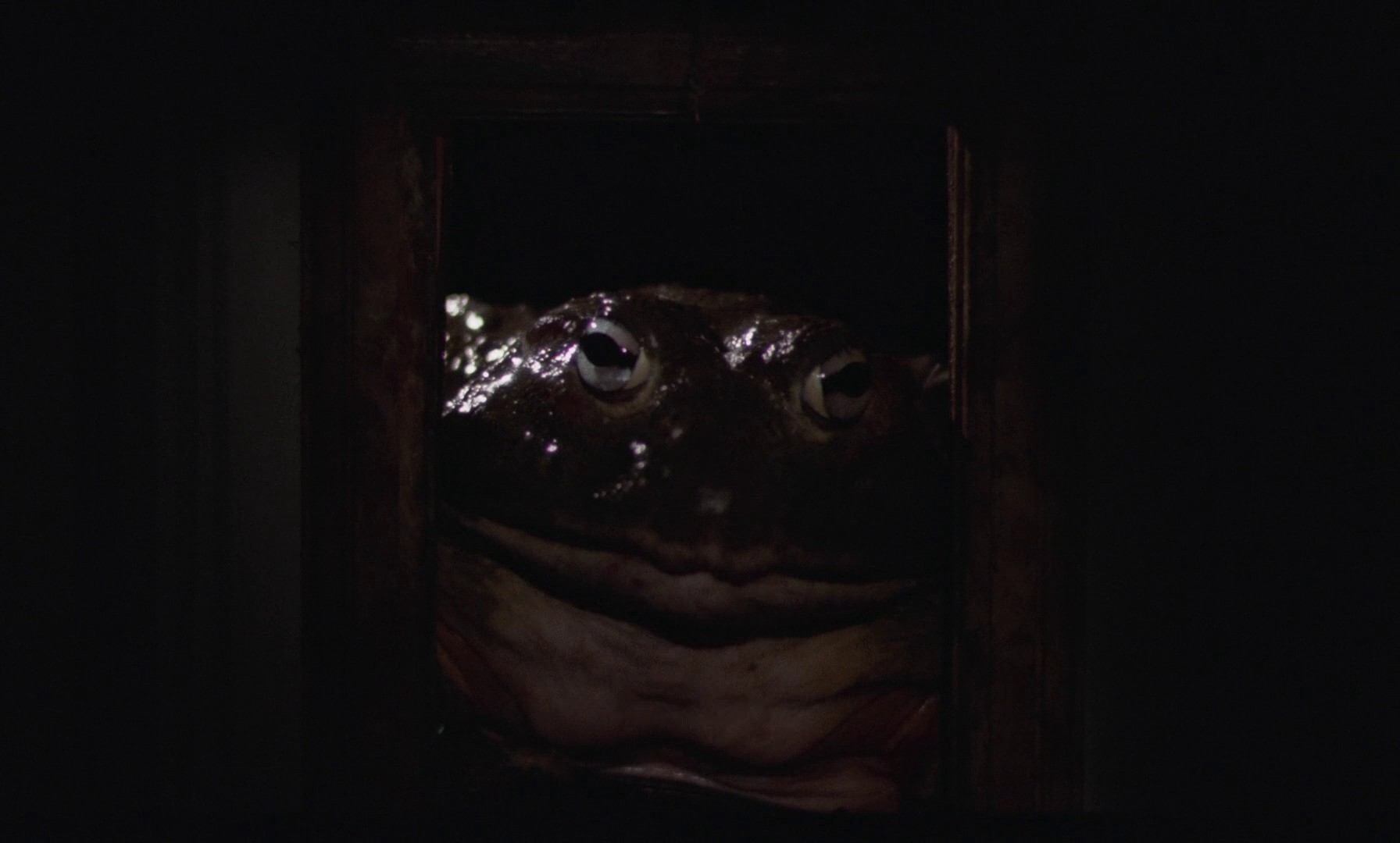 Allonsanfan (1975) —  shot,  lighting