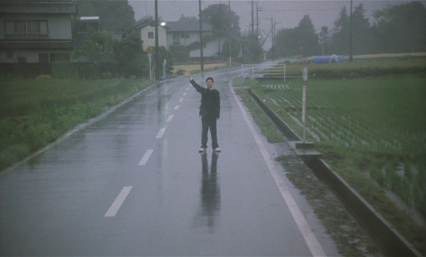 The Taste of Tea (2004) —  shot,  lighting