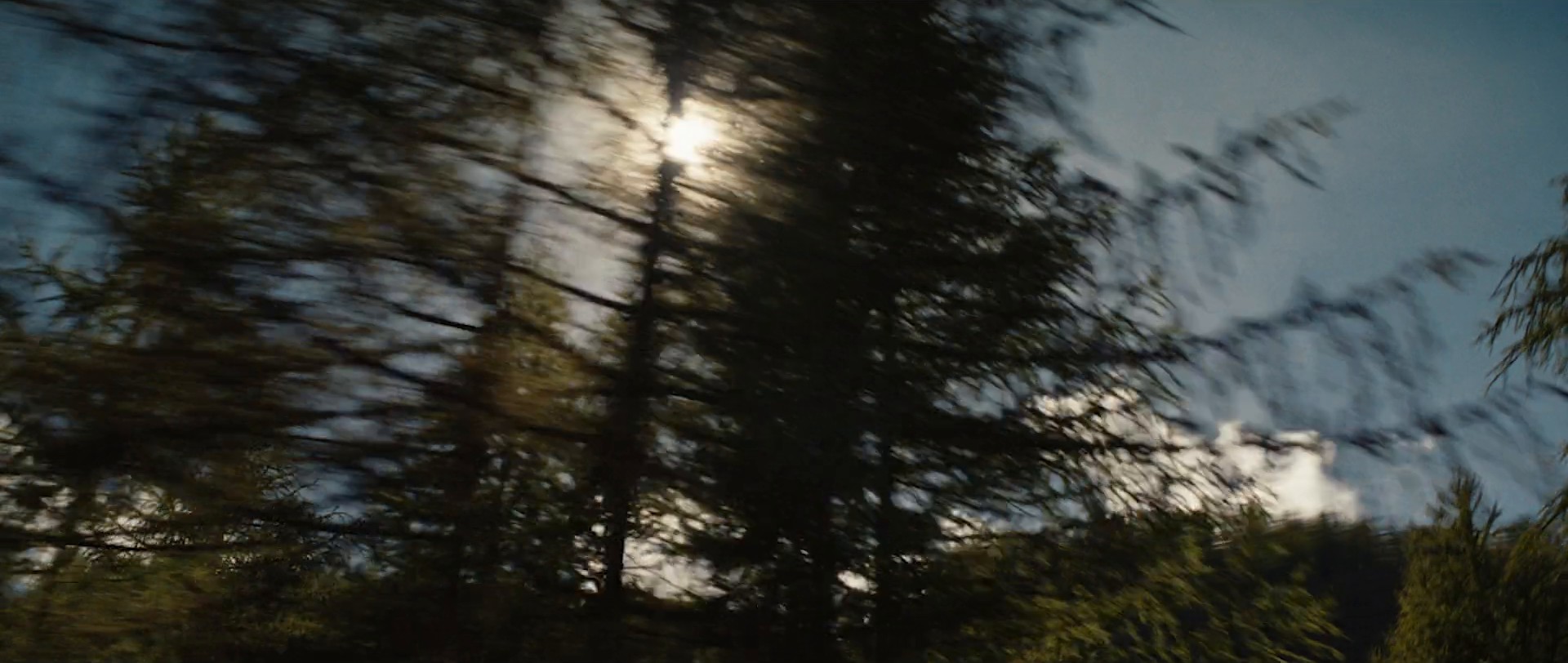 KAWASAKI – NINJA & Z HEV (2024) —  shot,  lighting