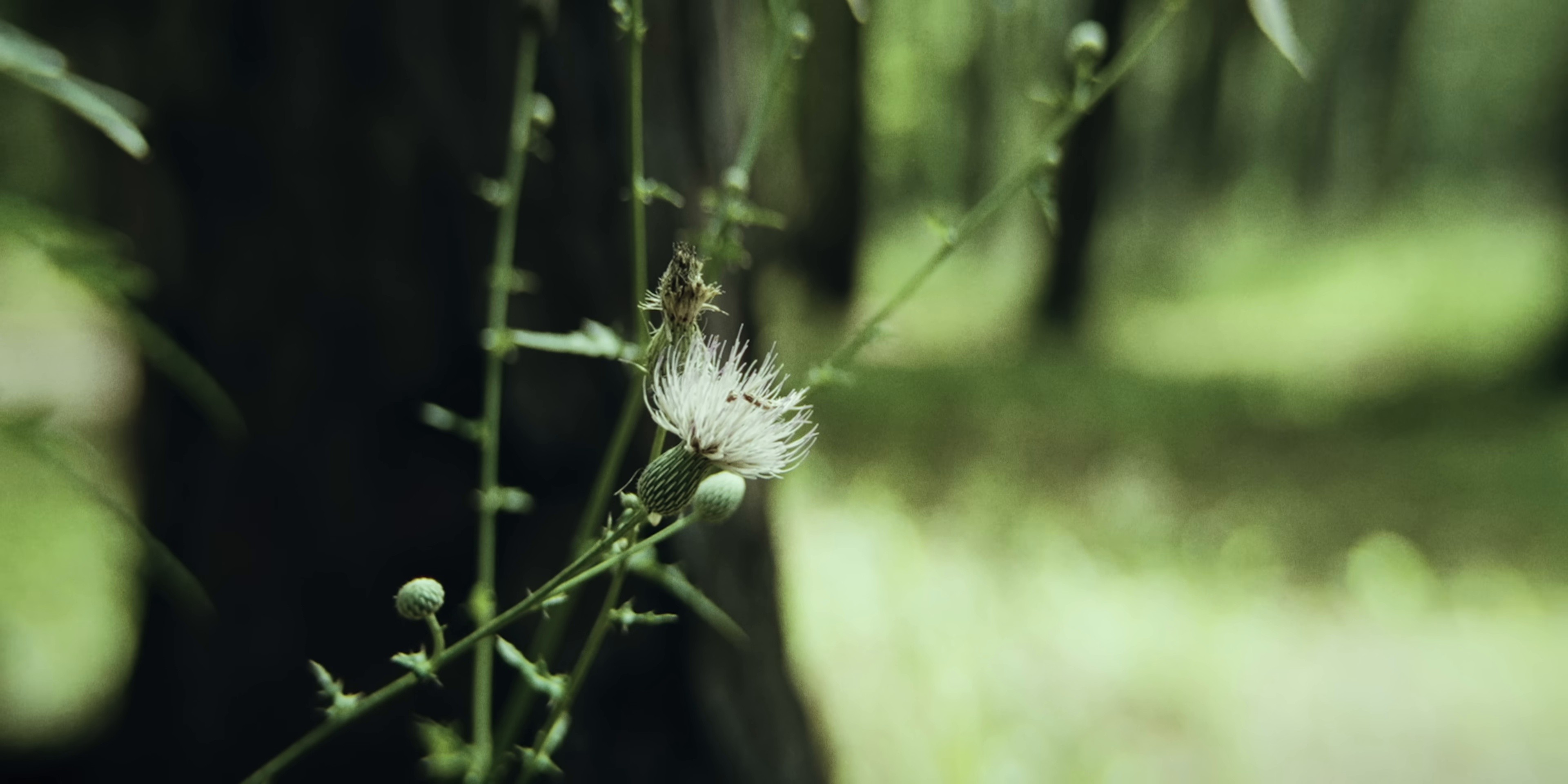 Sleeping (2025) —  shot,  lighting