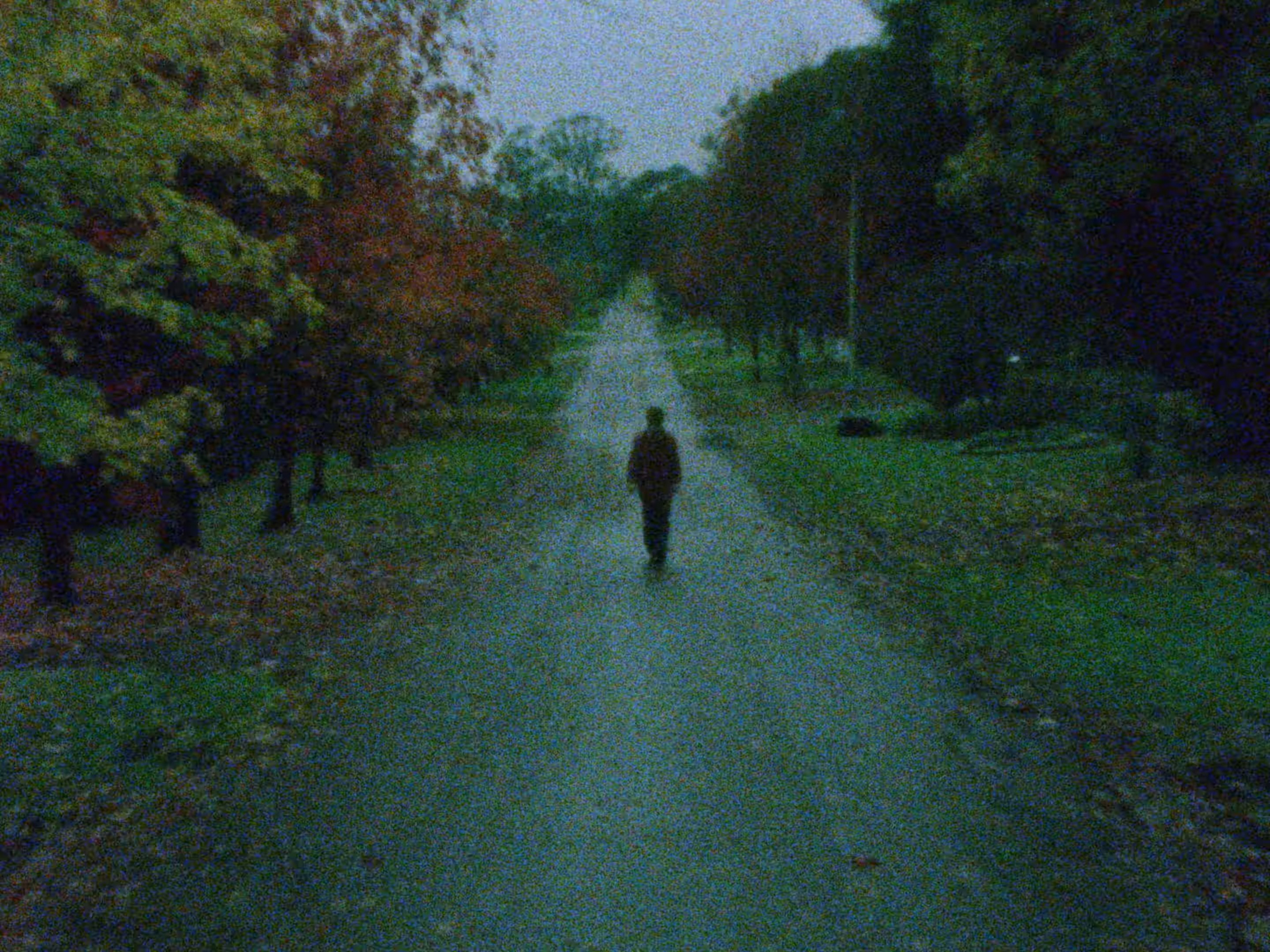 All Your Life (2024) —  shot,  lighting