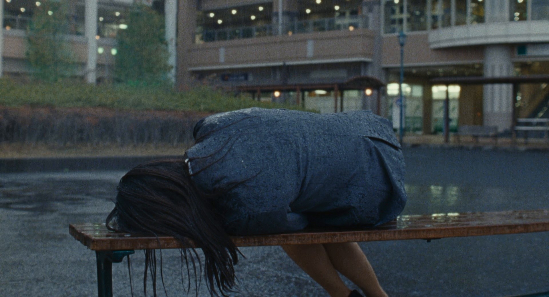 All the Long Nights (2024) —  shot,  lighting