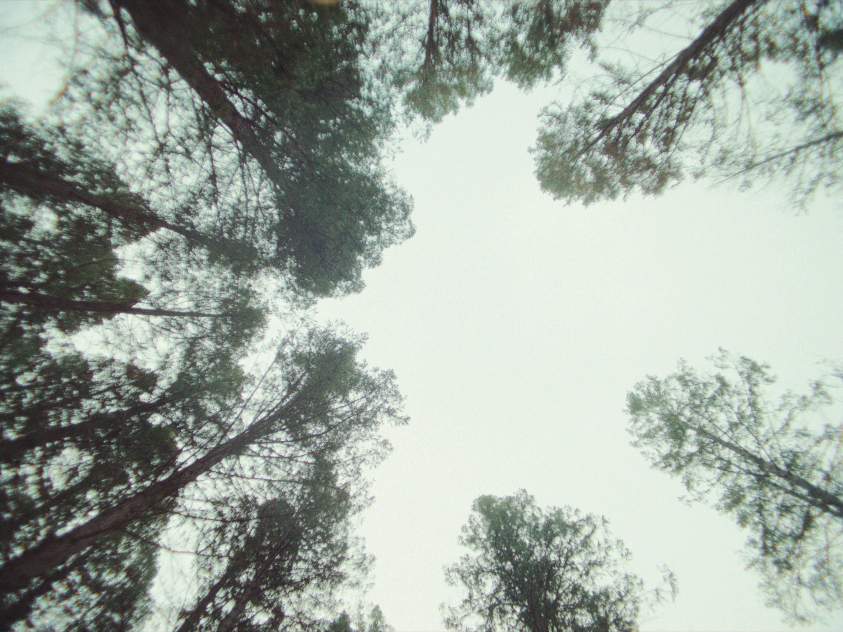 DrinkSense - Après Drink :30 (2024) —  shot,  lighting