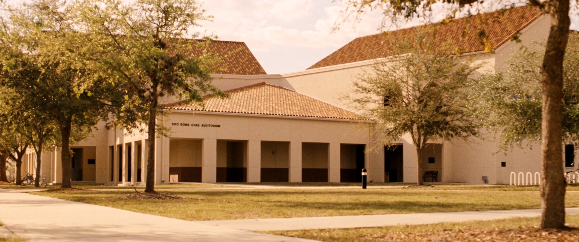 Spring Breakers (2012) —  shot,  lighting