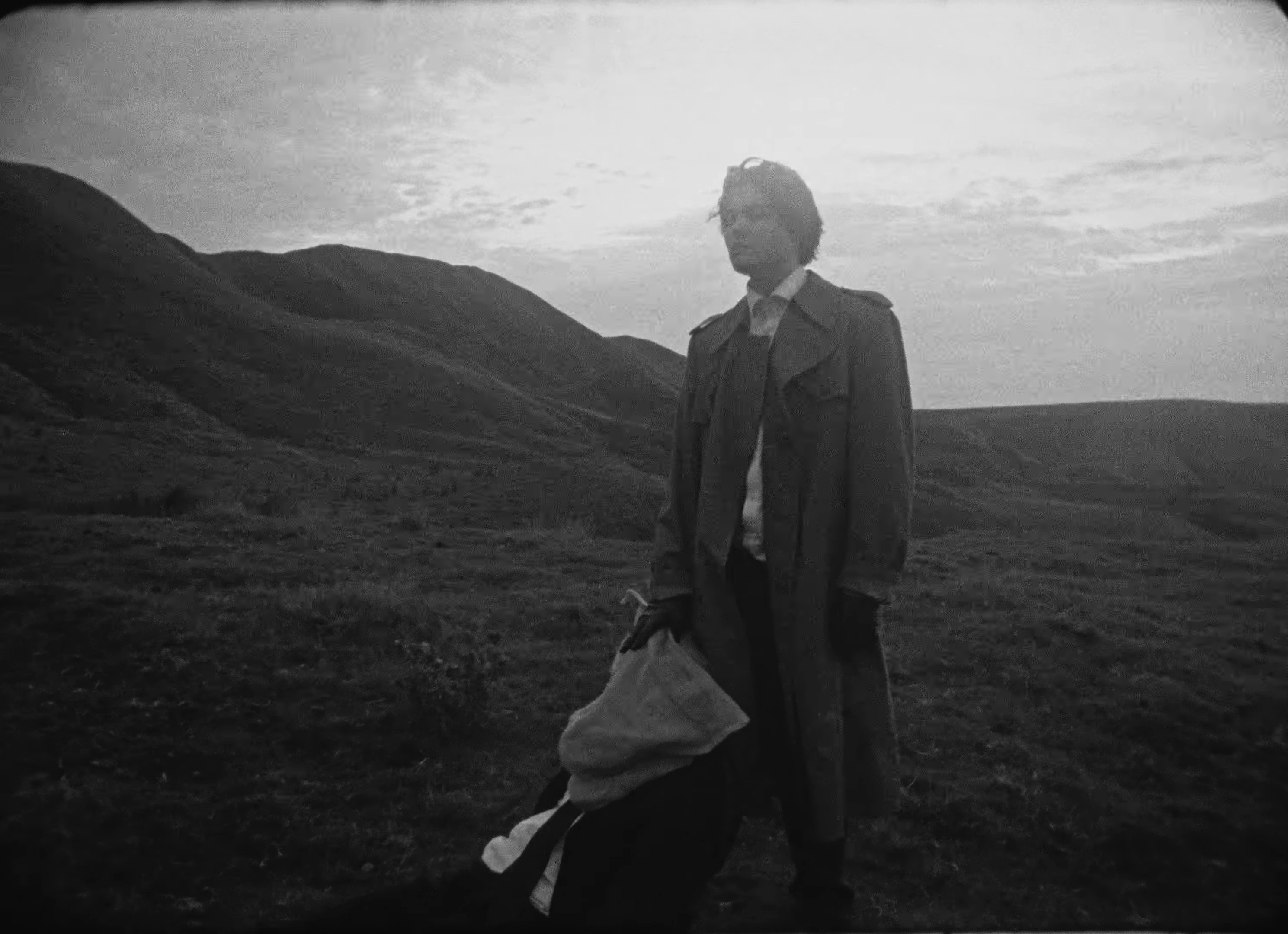 Murder, Murder! (2025) —  shot,  lighting