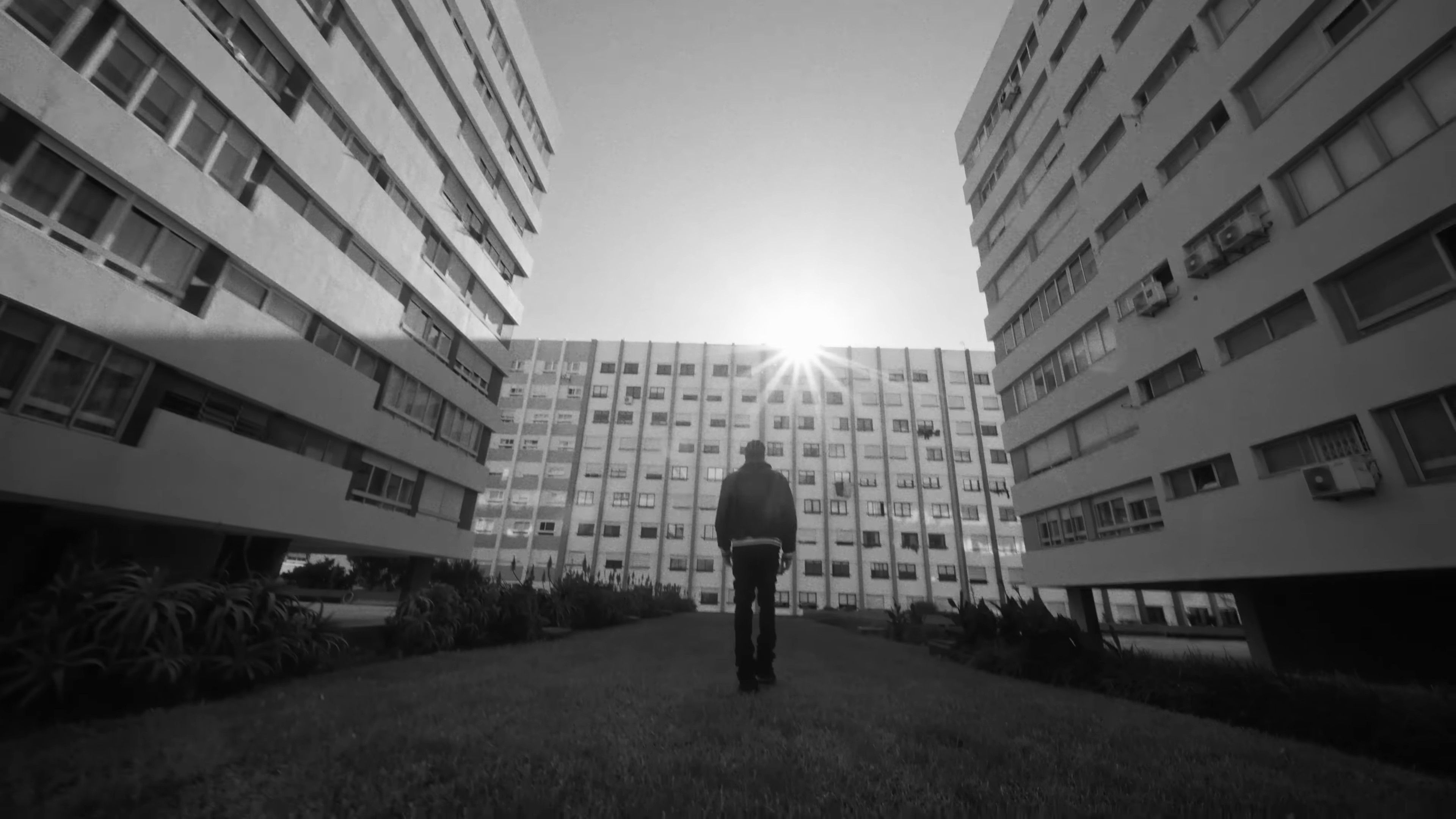 Prada Glasses (2024) —  shot,  lighting