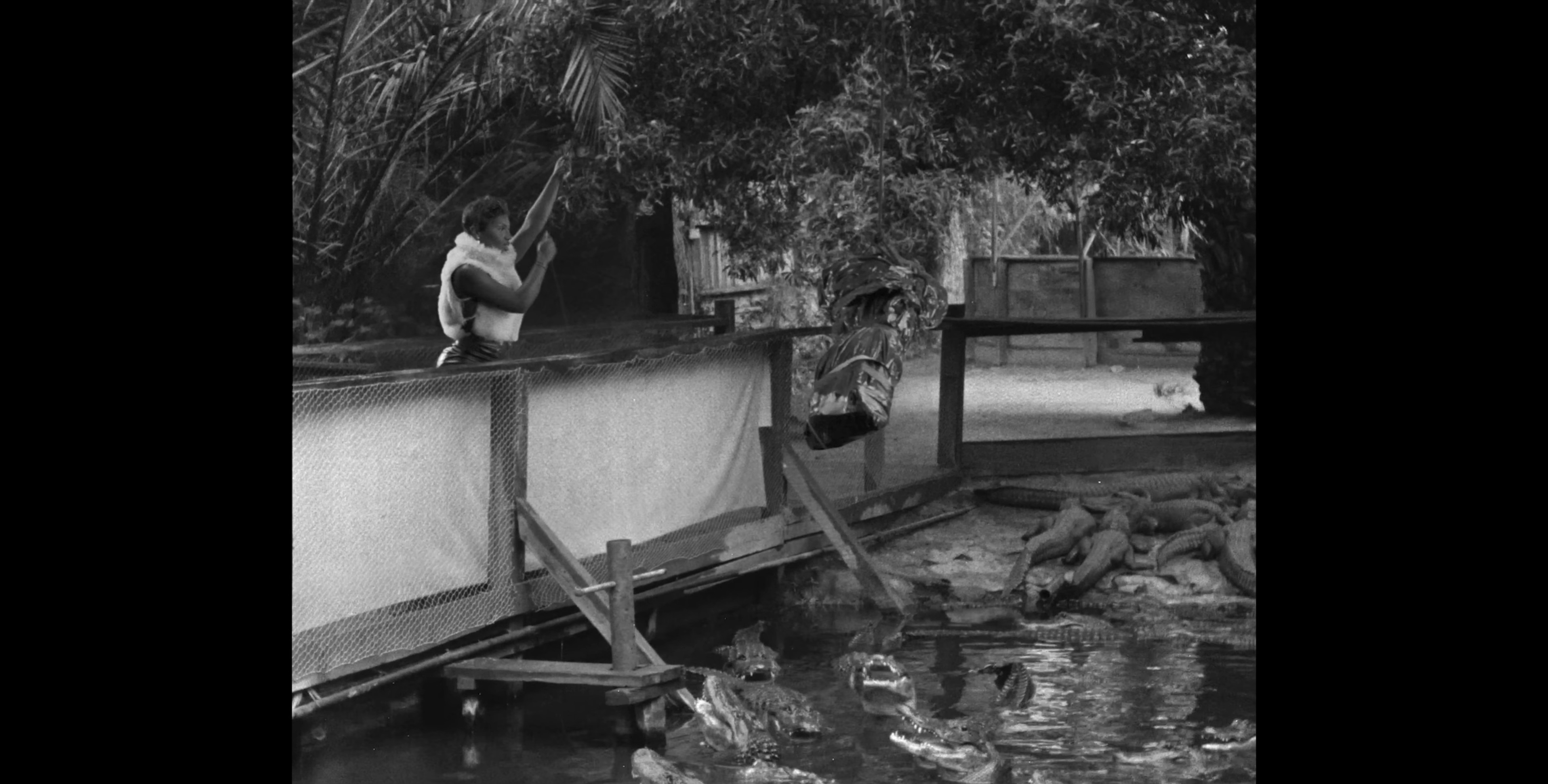 What It Is (2023) —  shot,  lighting