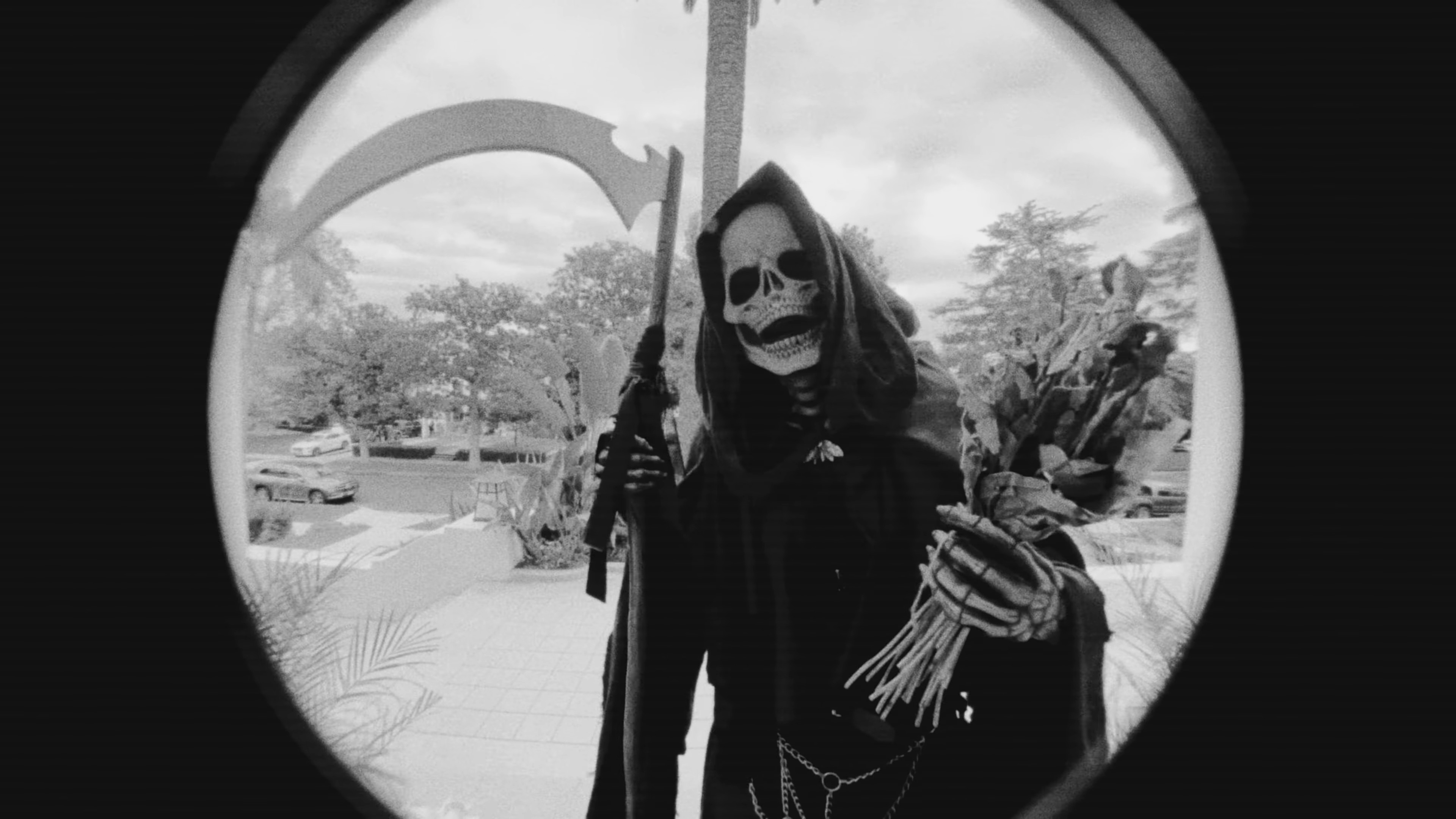 Toxins (2024) —  shot,  lighting