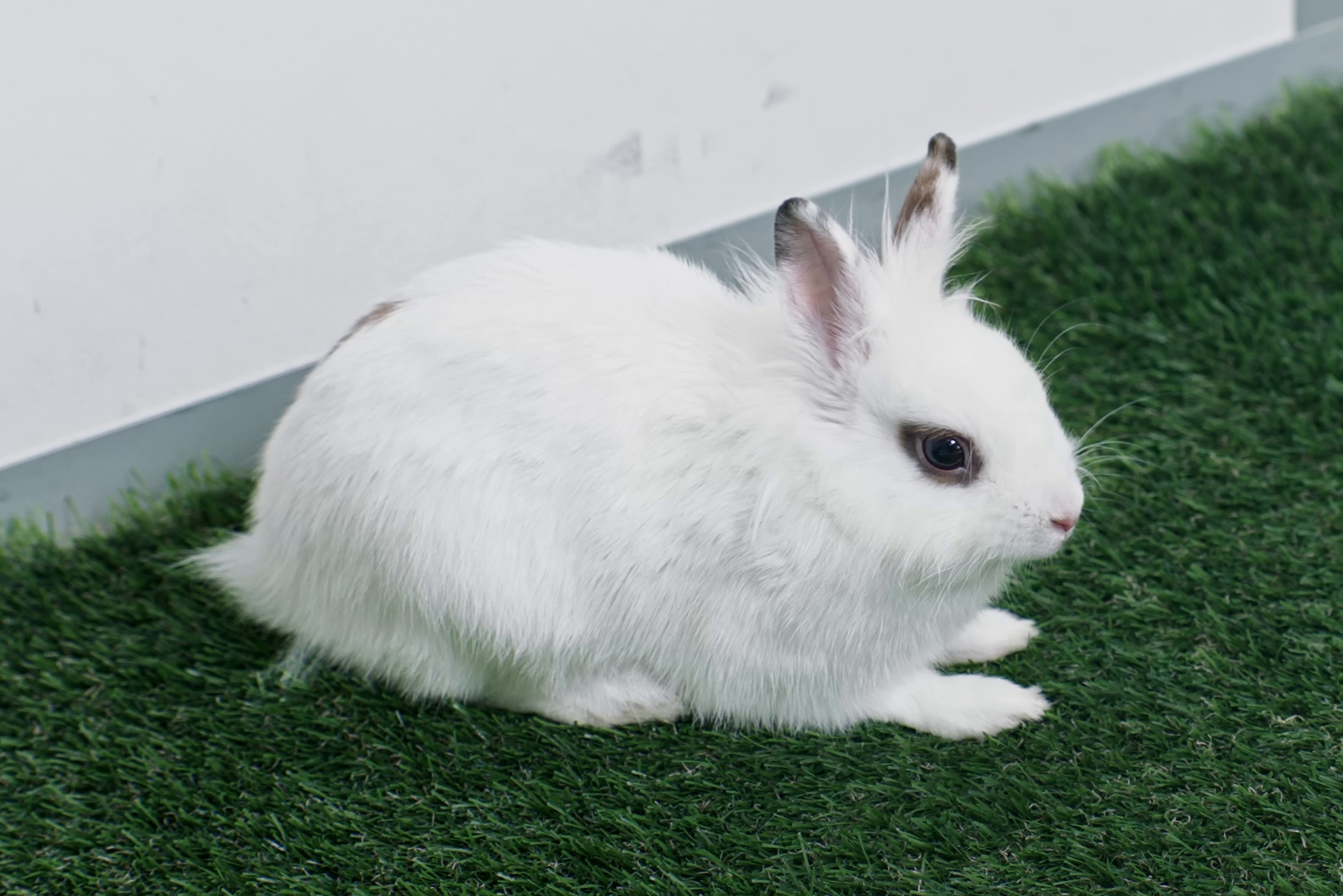 Monde (2025) —  shot,  lighting