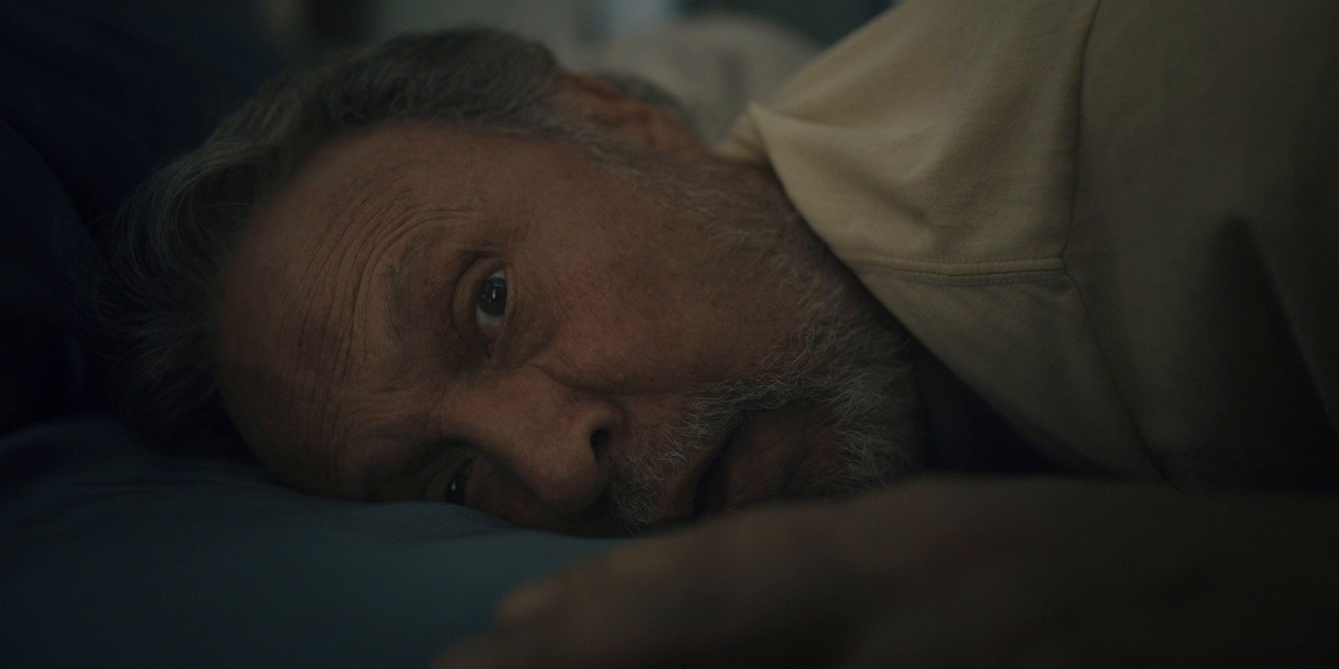 The Imposter (2024) —  shot,  lighting