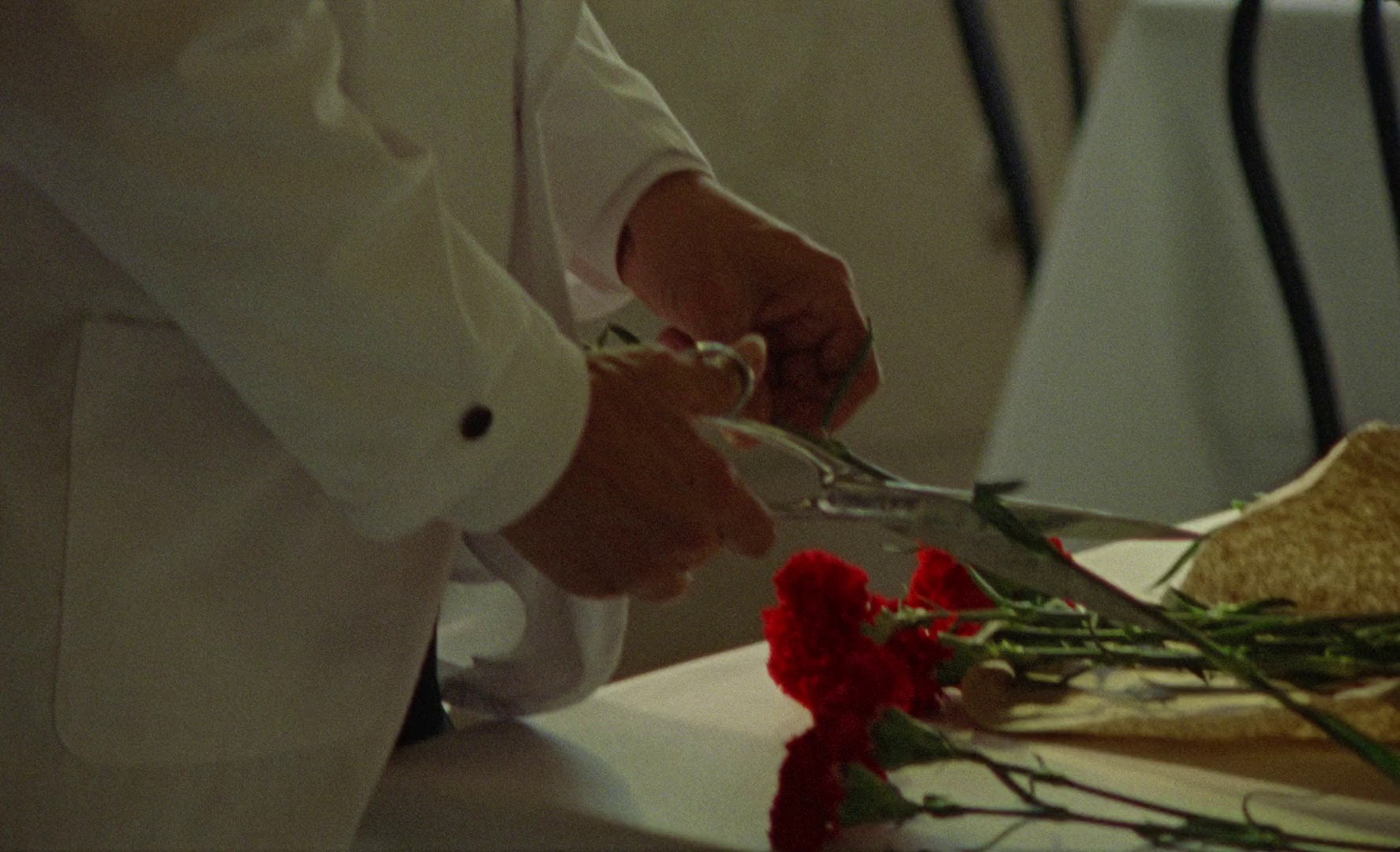 Tocarte (2021) —  shot,  lighting