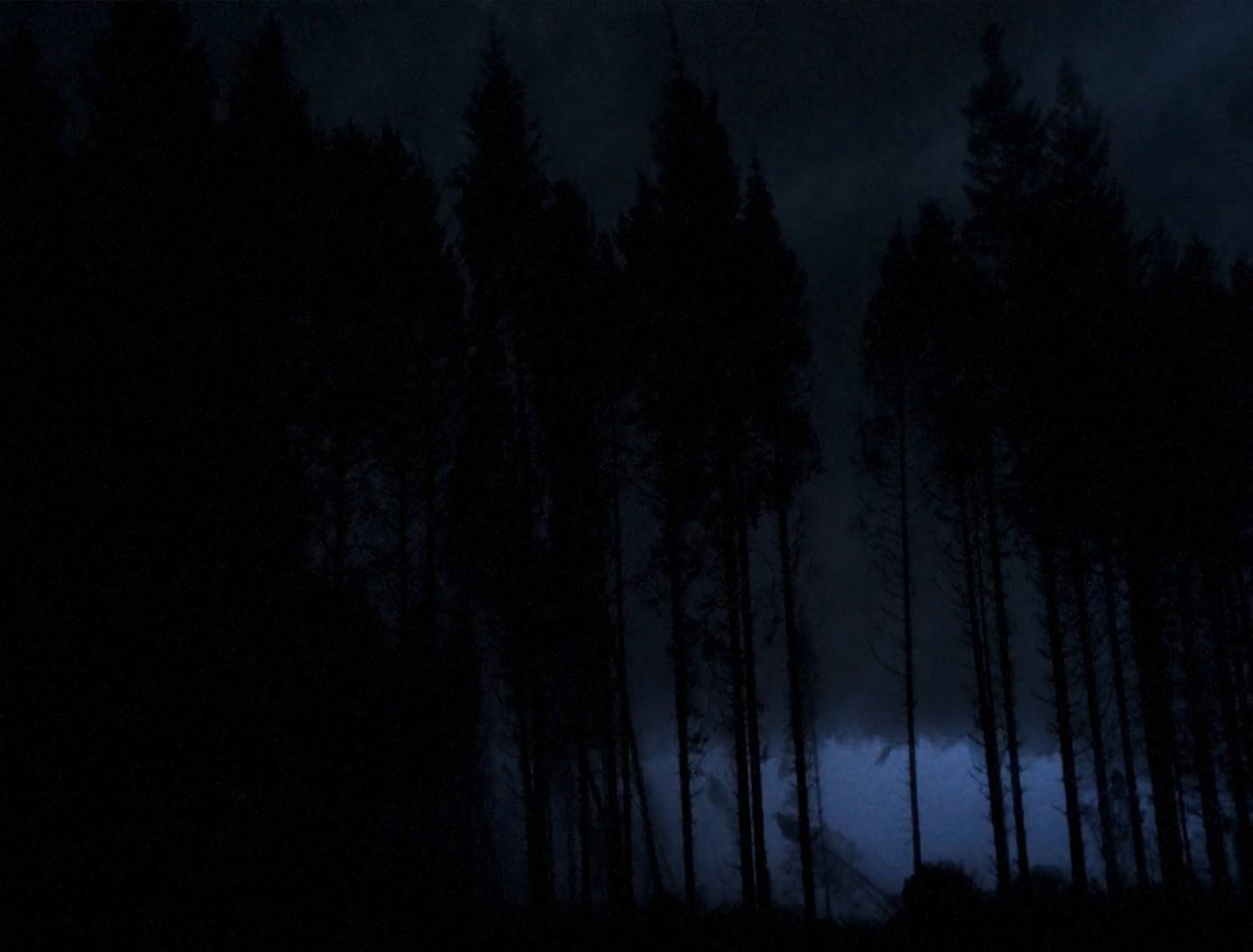 Sleep Has Her House (2017) —  shot,  lighting