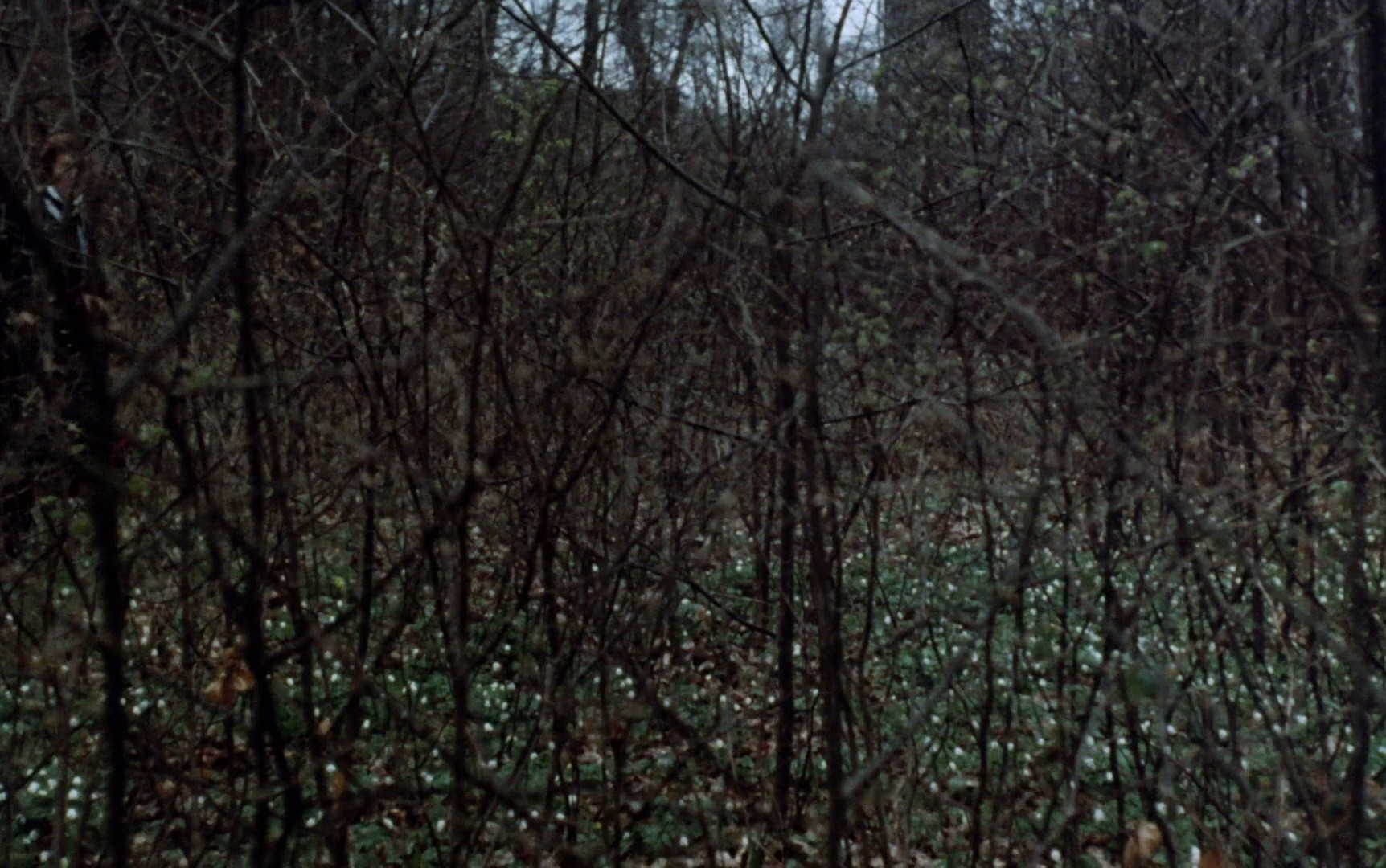 The Invisible Dead (1972) —  shot,  lighting