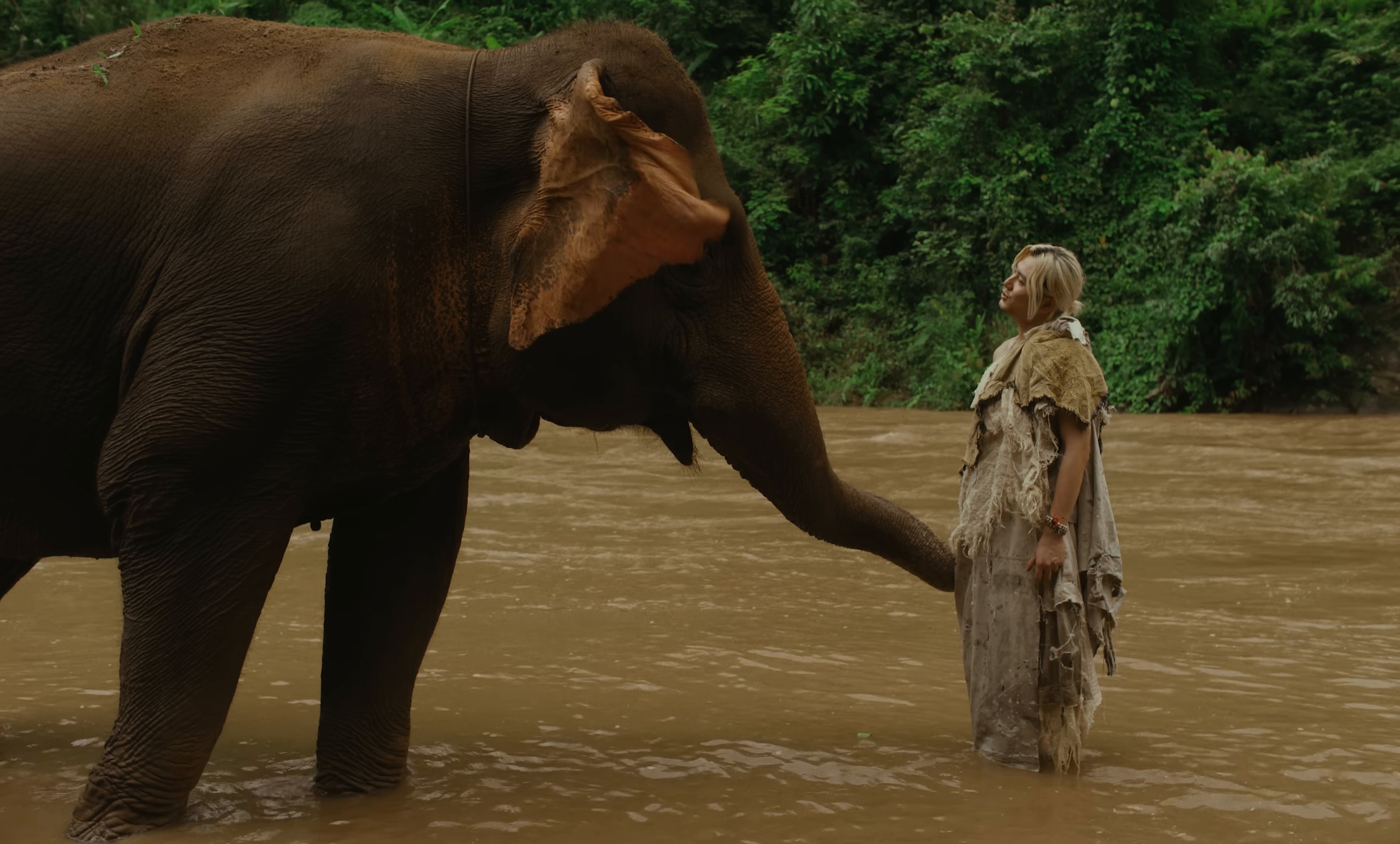 Prema (2025) —  shot,  lighting