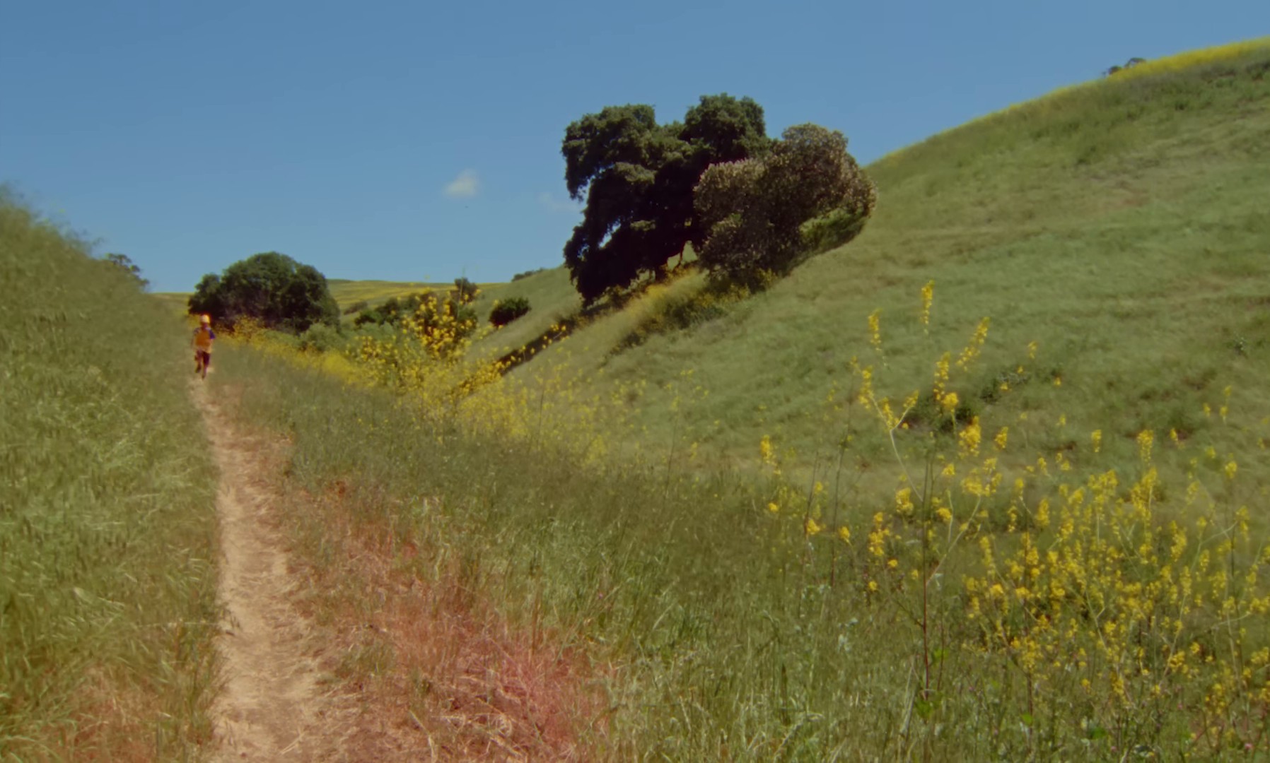 Heaven (2024) —  shot,  lighting