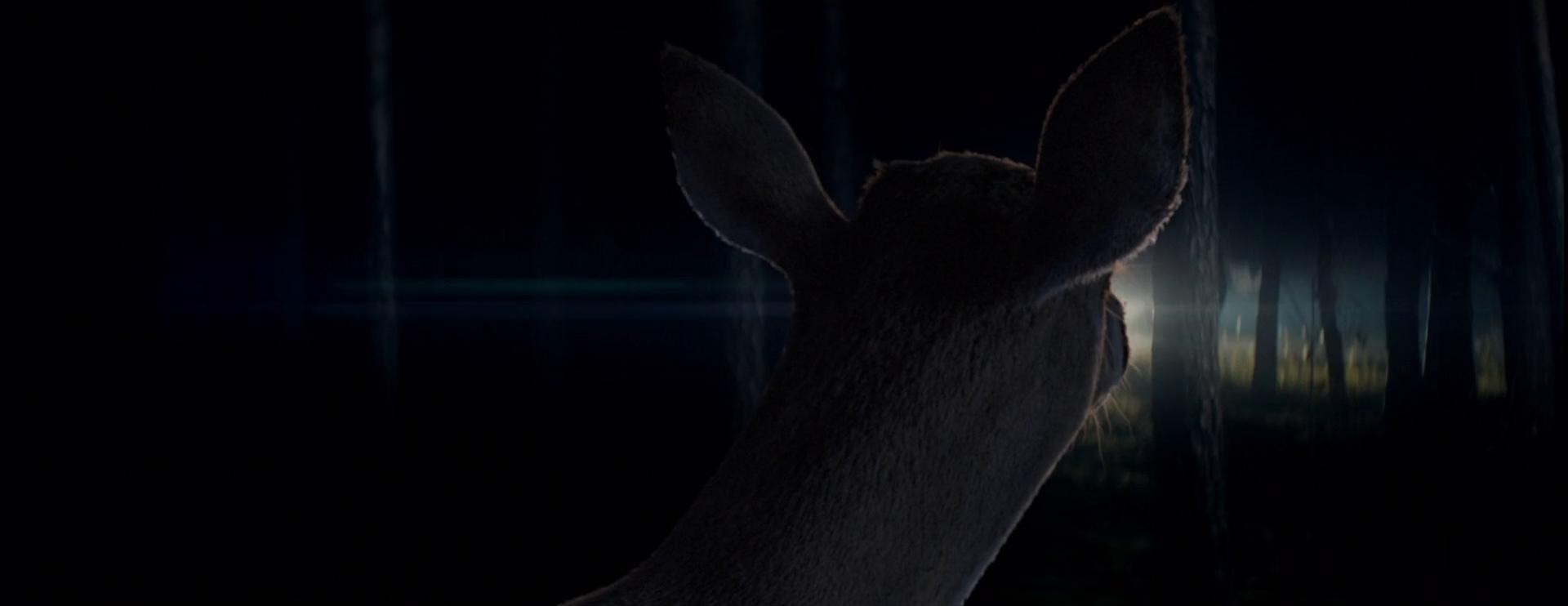 ŠKODA SAFETY | DIR CUT (2023) —  shot,  lighting