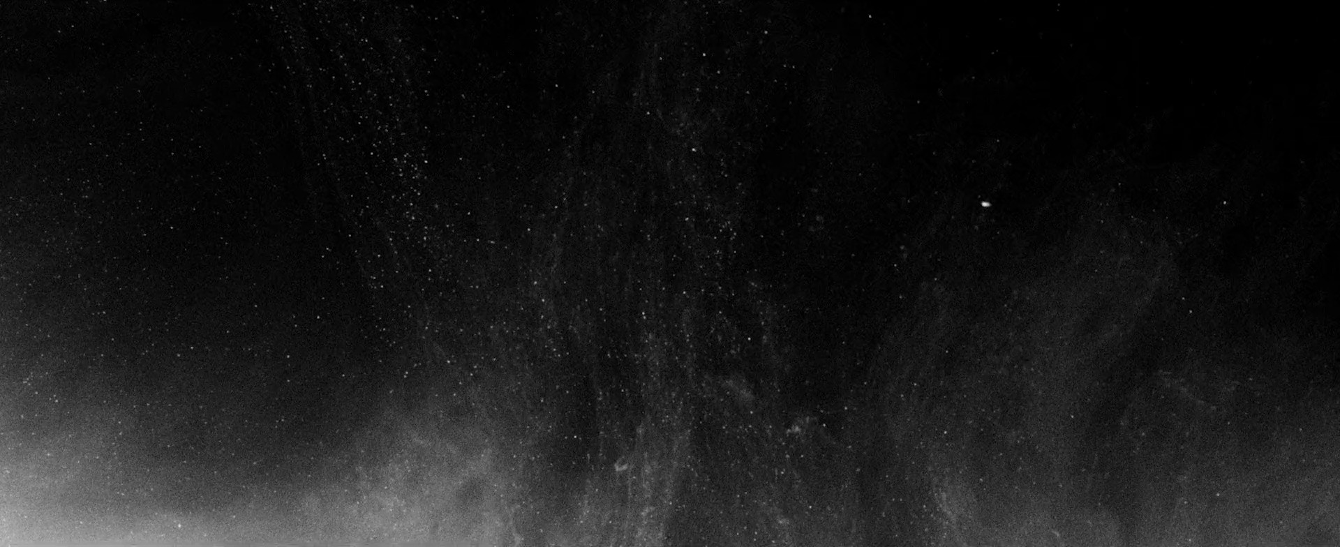 "Moment" | Xu Yingming x NexGard | DC (2024) —  shot,  lighting