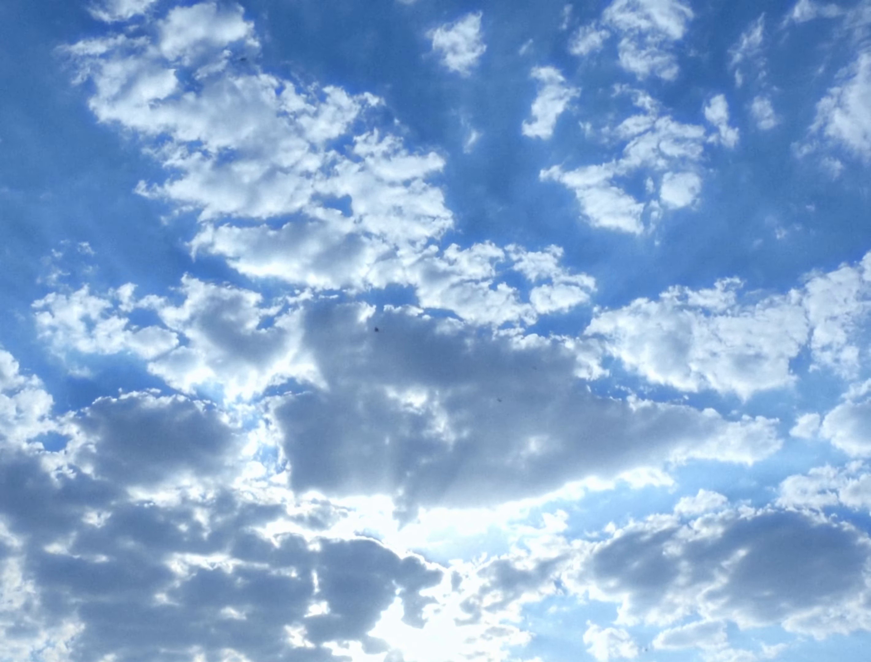 Tell Your Friends (2024) —  shot,  lighting