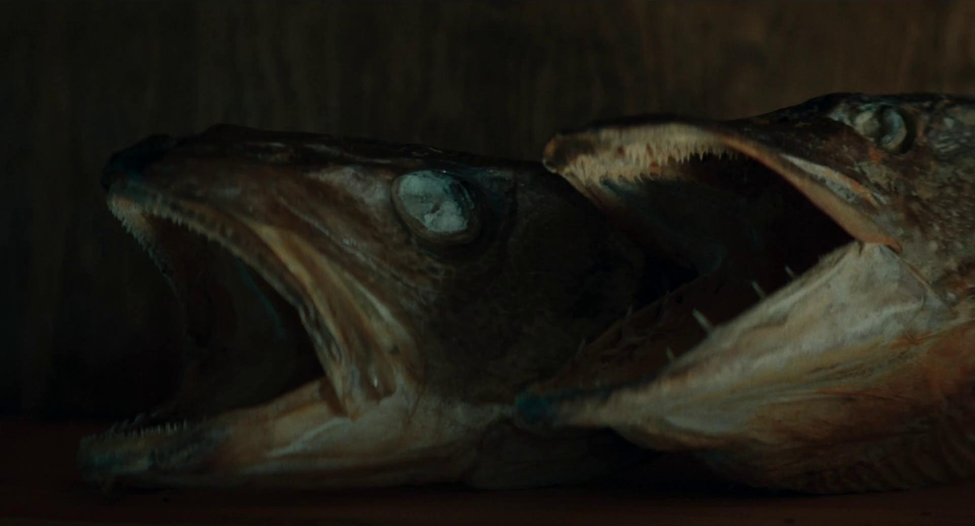 8 Views of Lake Biwa (2024) —  shot,  lighting