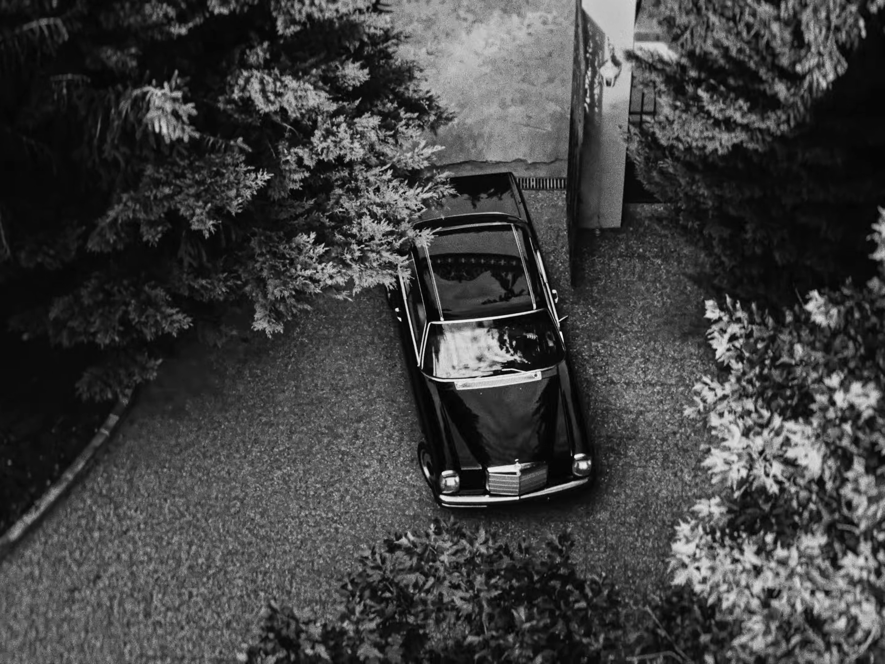 Azucar (2025) —  shot,  lighting