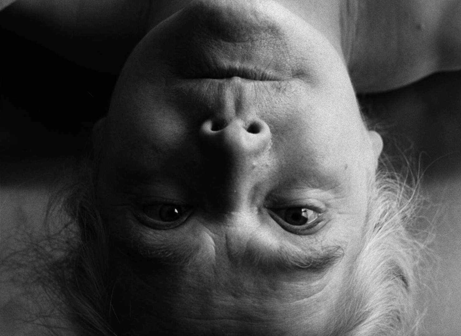 Persona (1966) —  shot,  lighting